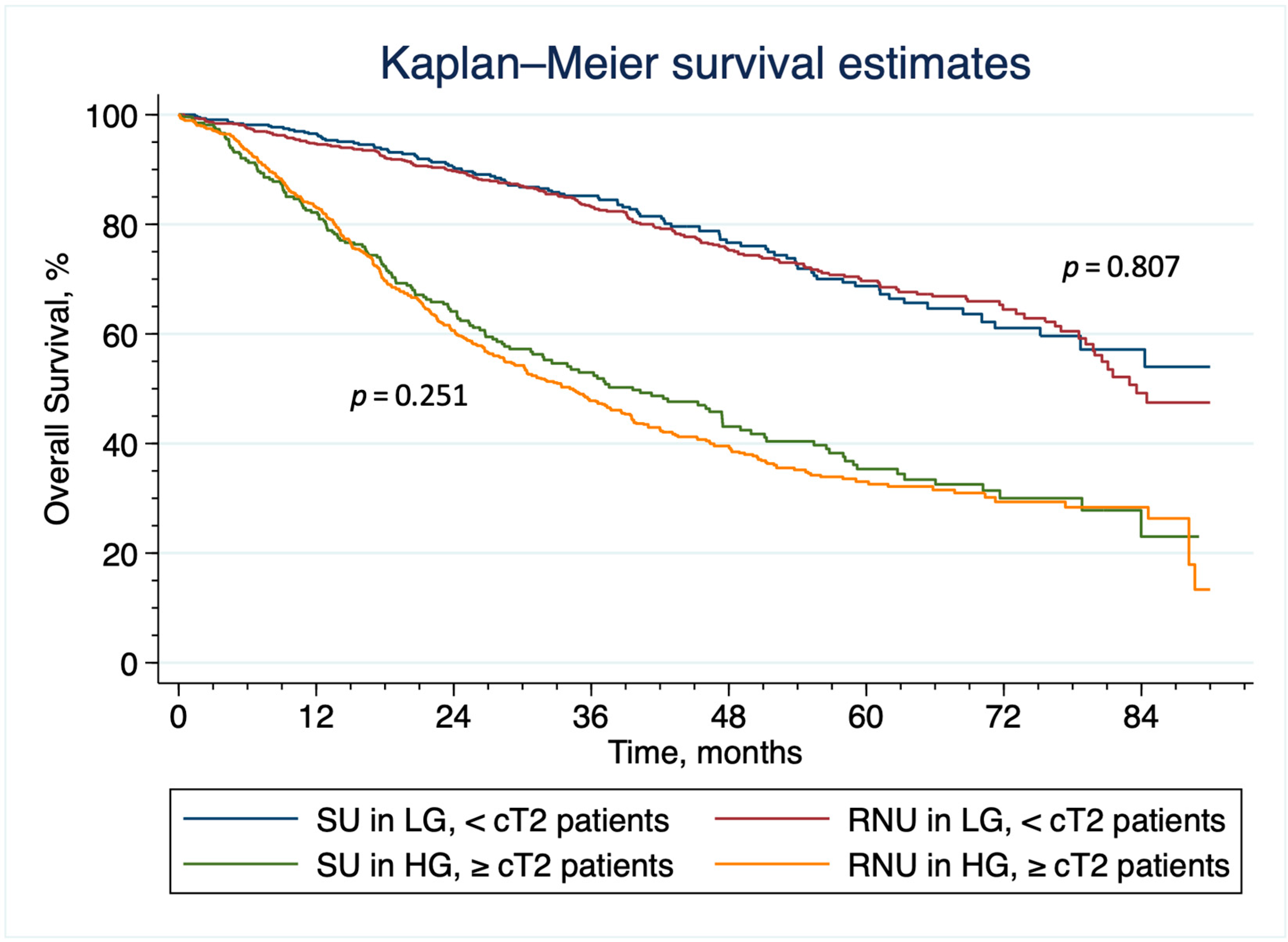 Cancers 15 01373 g003