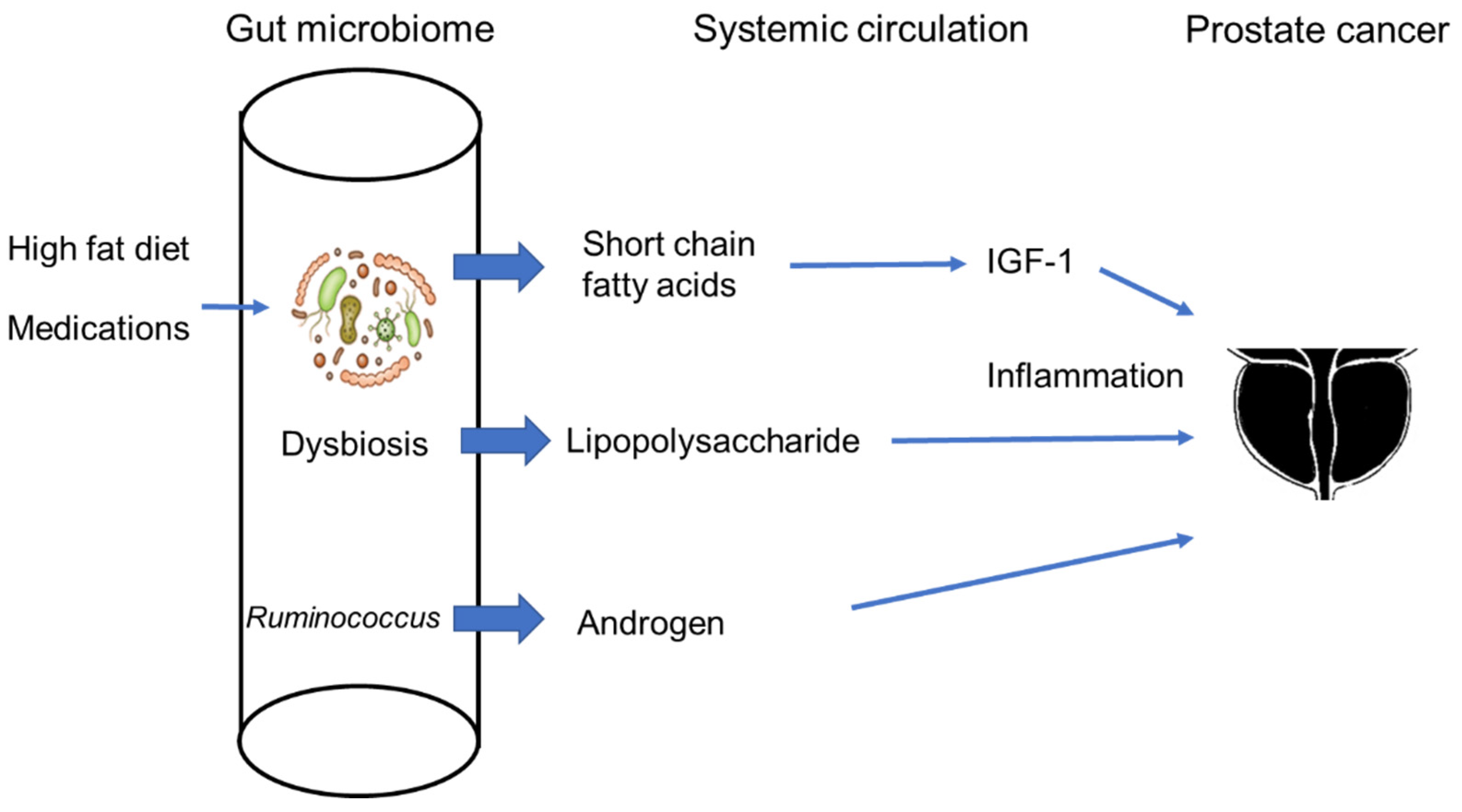 Cancers 15 01375 g002