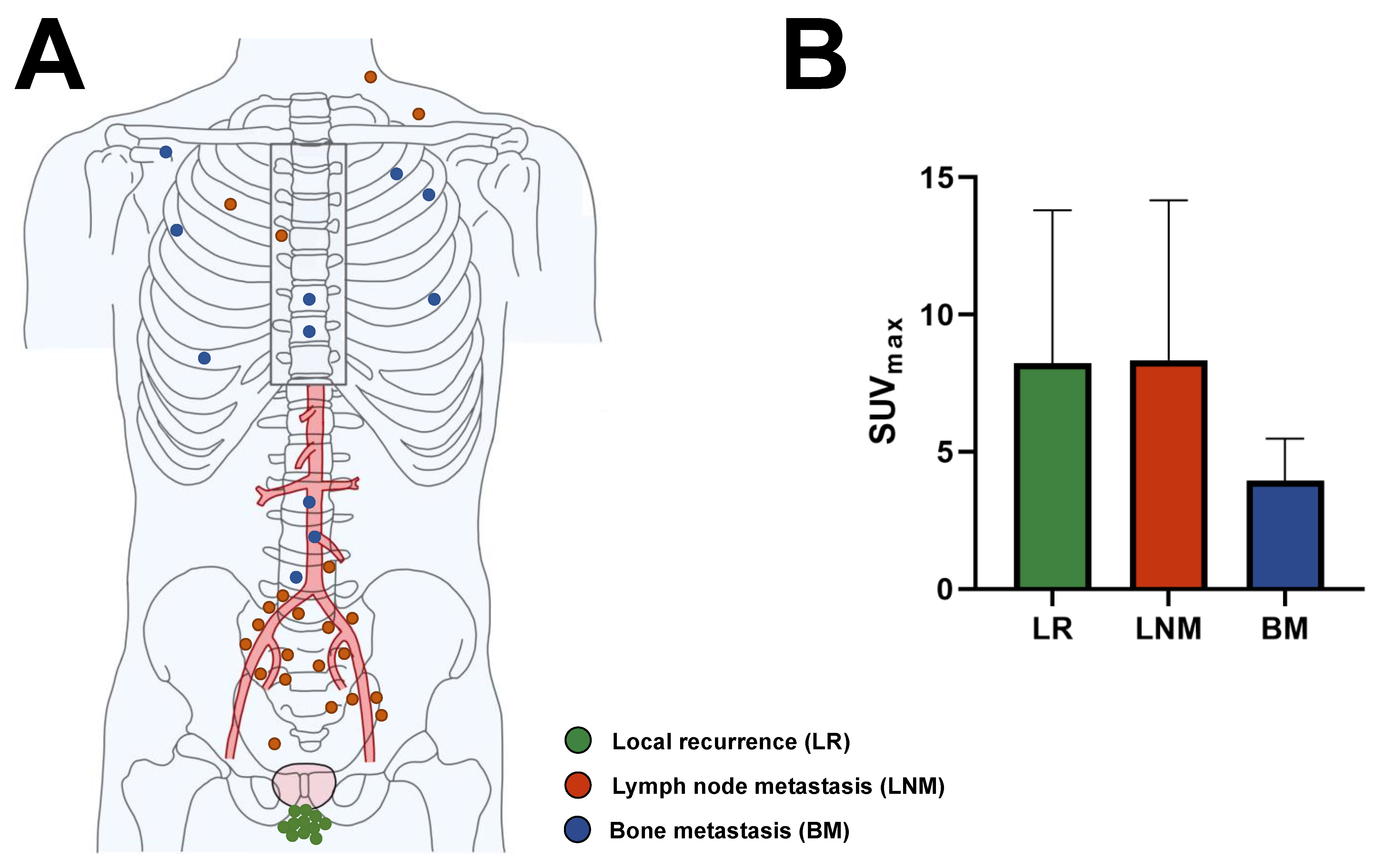 Cancers 15 01376 g002