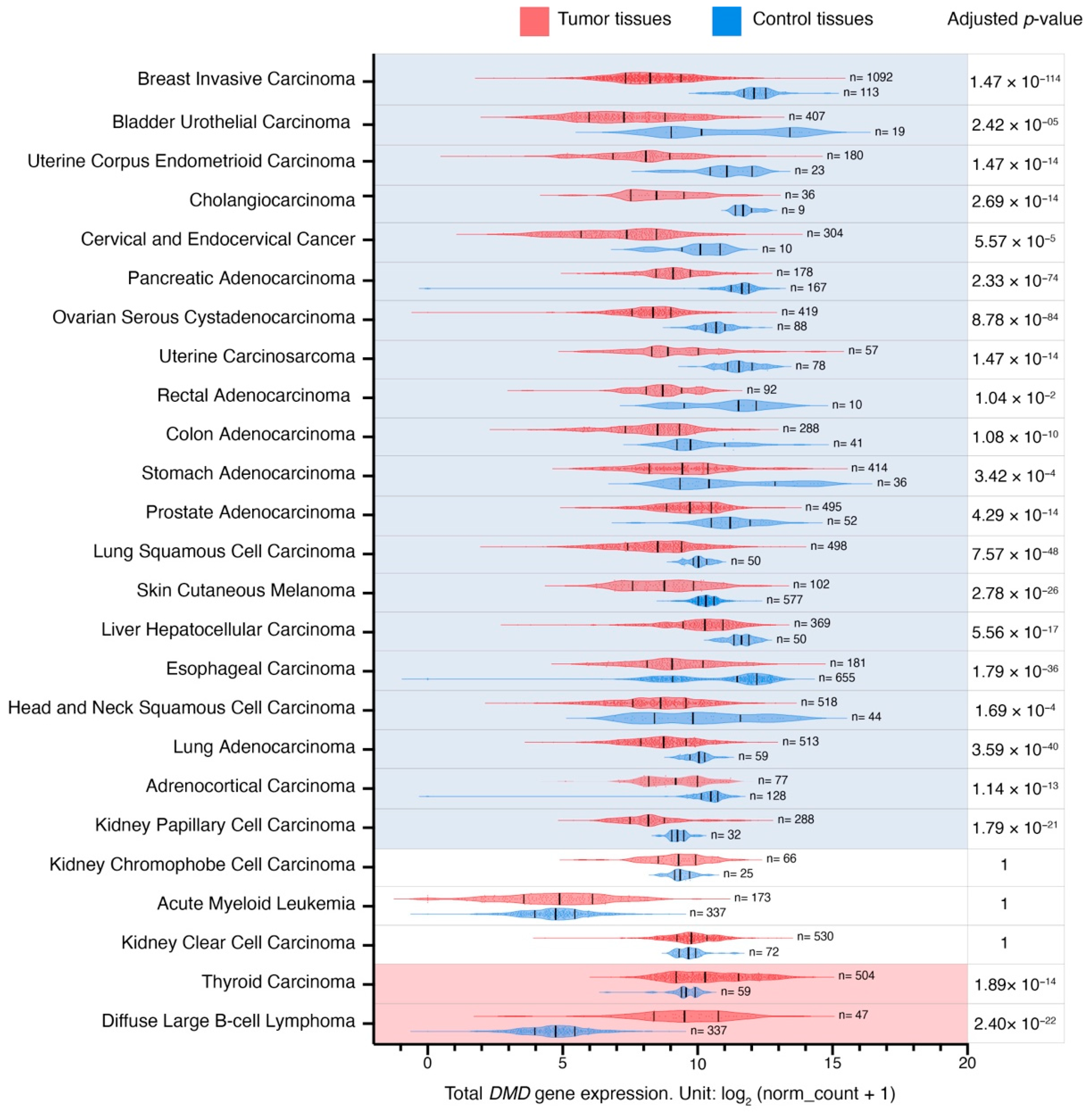 Cancers 15 01378 g001 Cancers 15 01378 g001