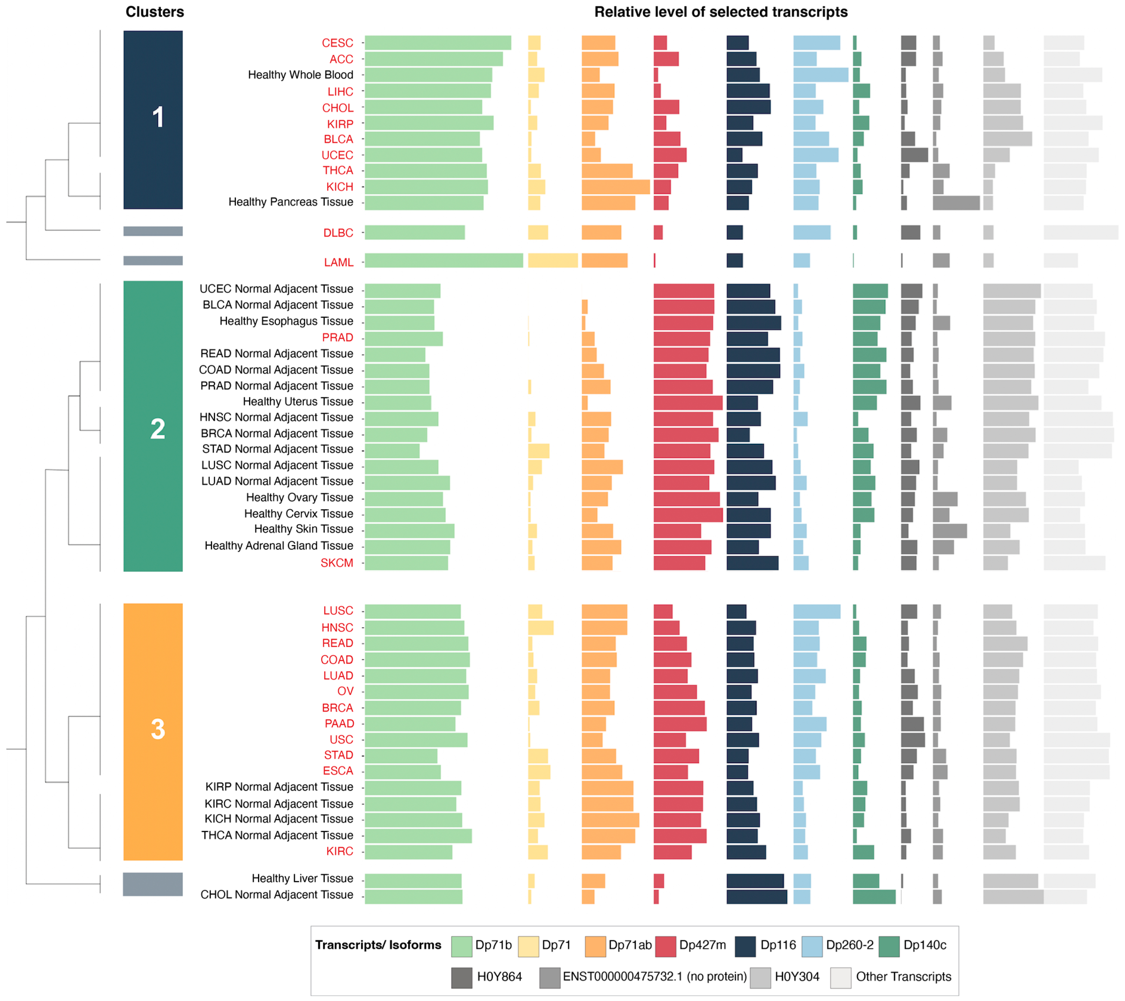 Cancers 15 01378 g002 Cancers 15 01378 g002