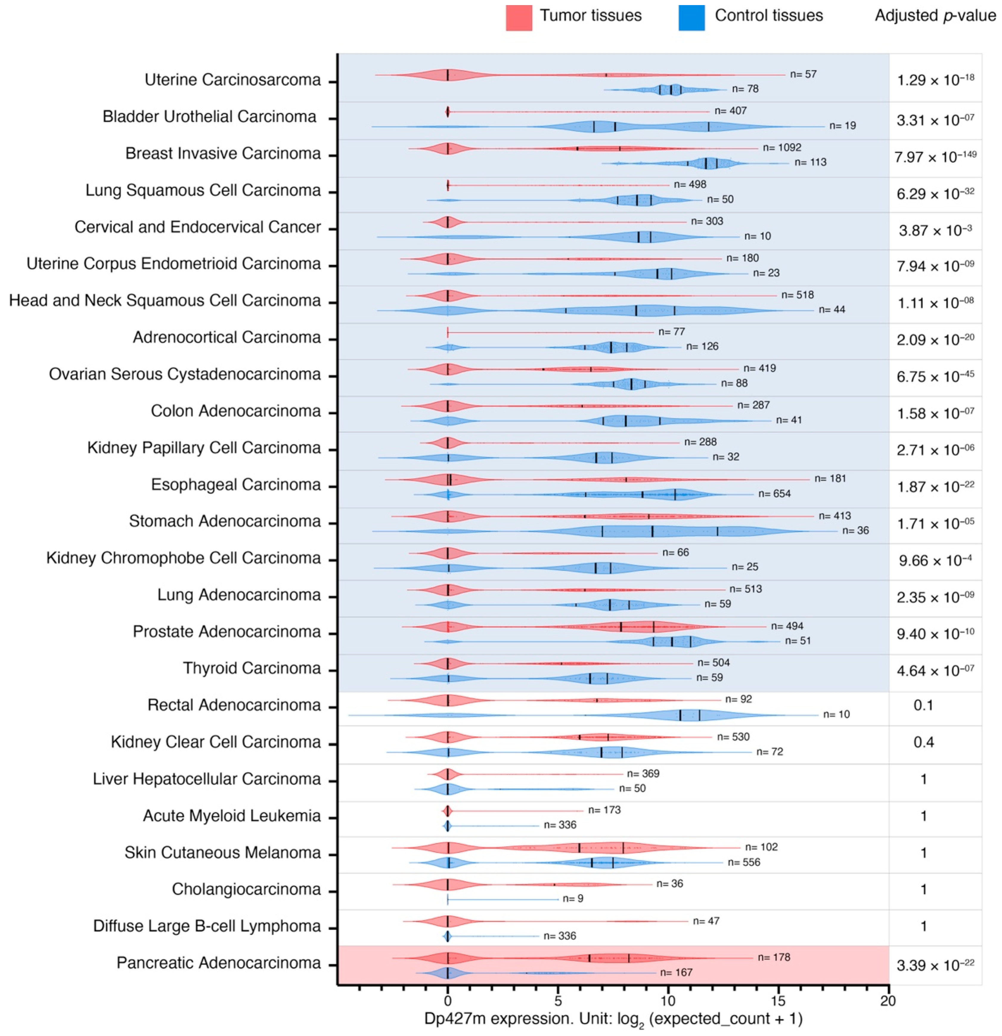 Cancers 15 01378 g003 Cancers 15 01378 g003