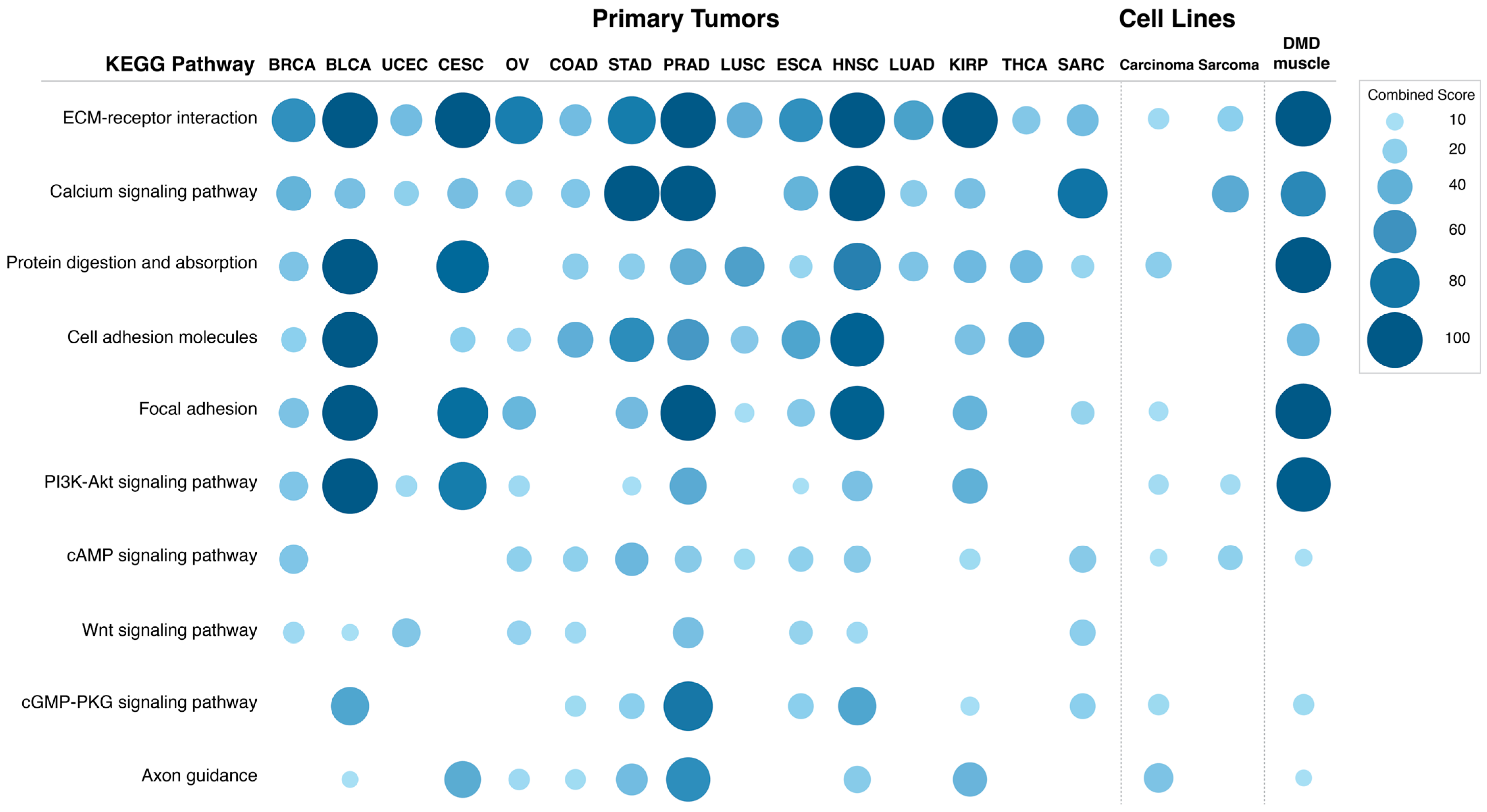 Cancers 15 01378 g006 Cancers 15 01378 g006