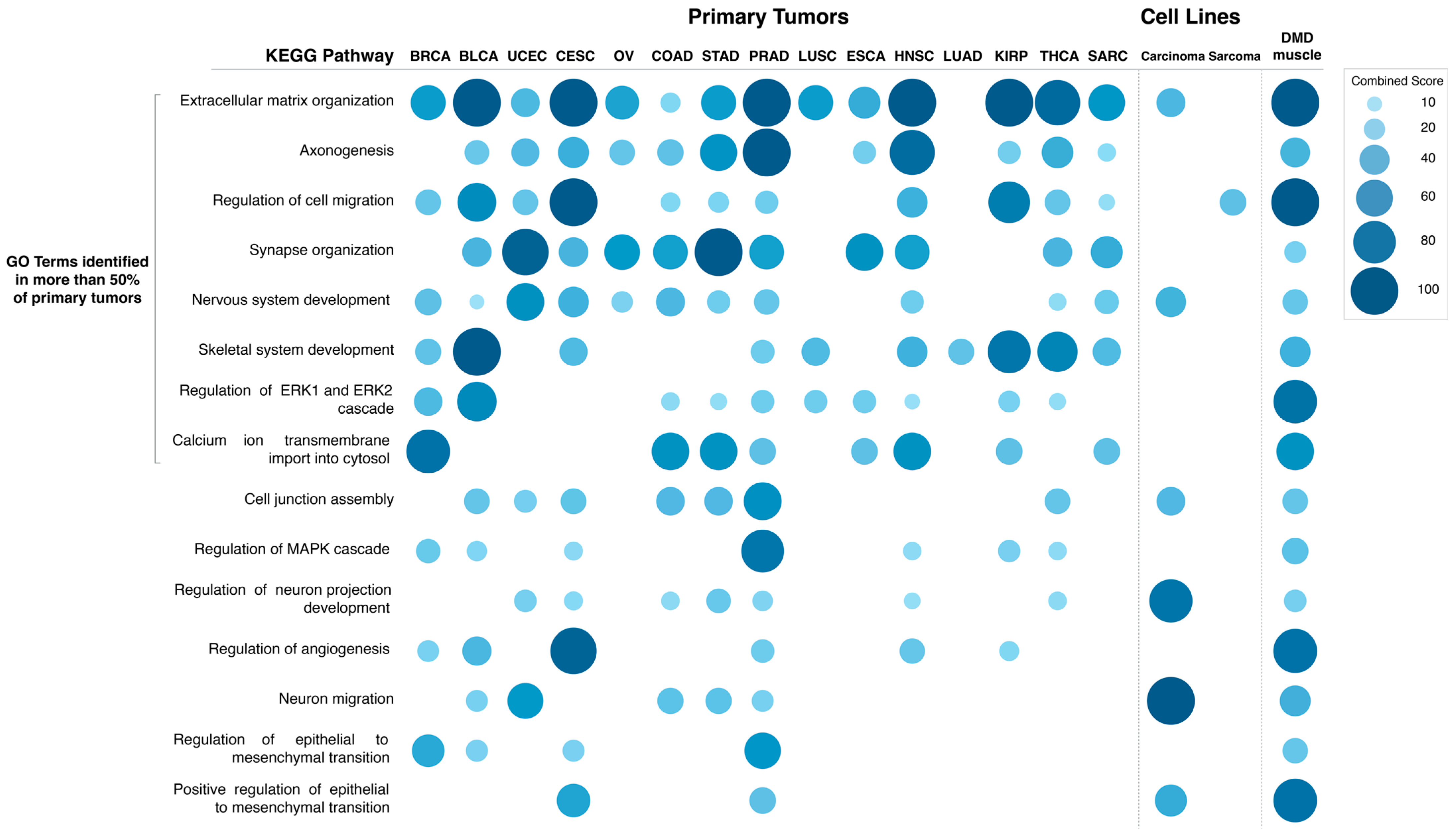Cancers 15 01378 g007 Cancers 15 01378 g007