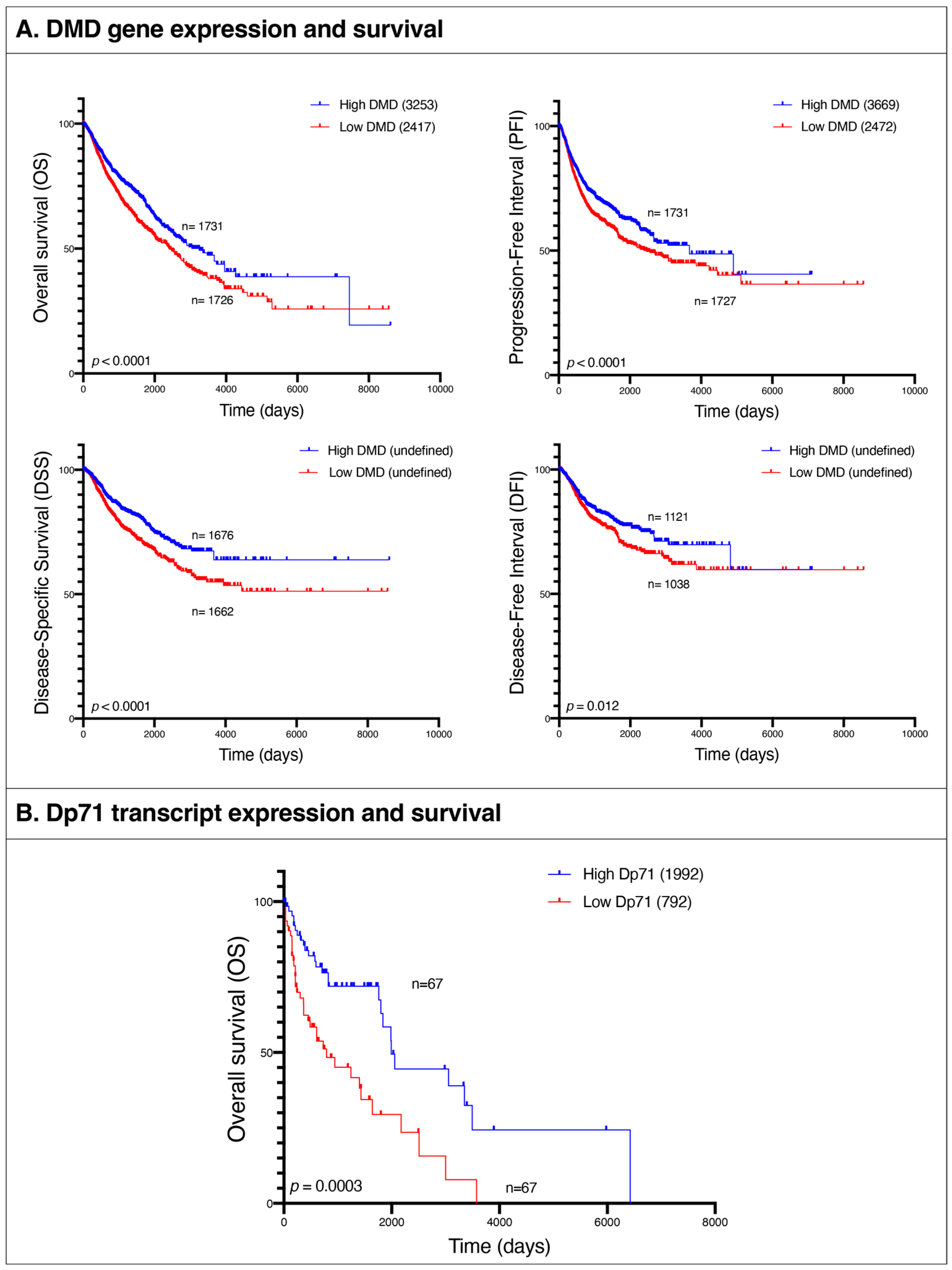Cancers 15 01378 g008 Cancers 15 01378 g008