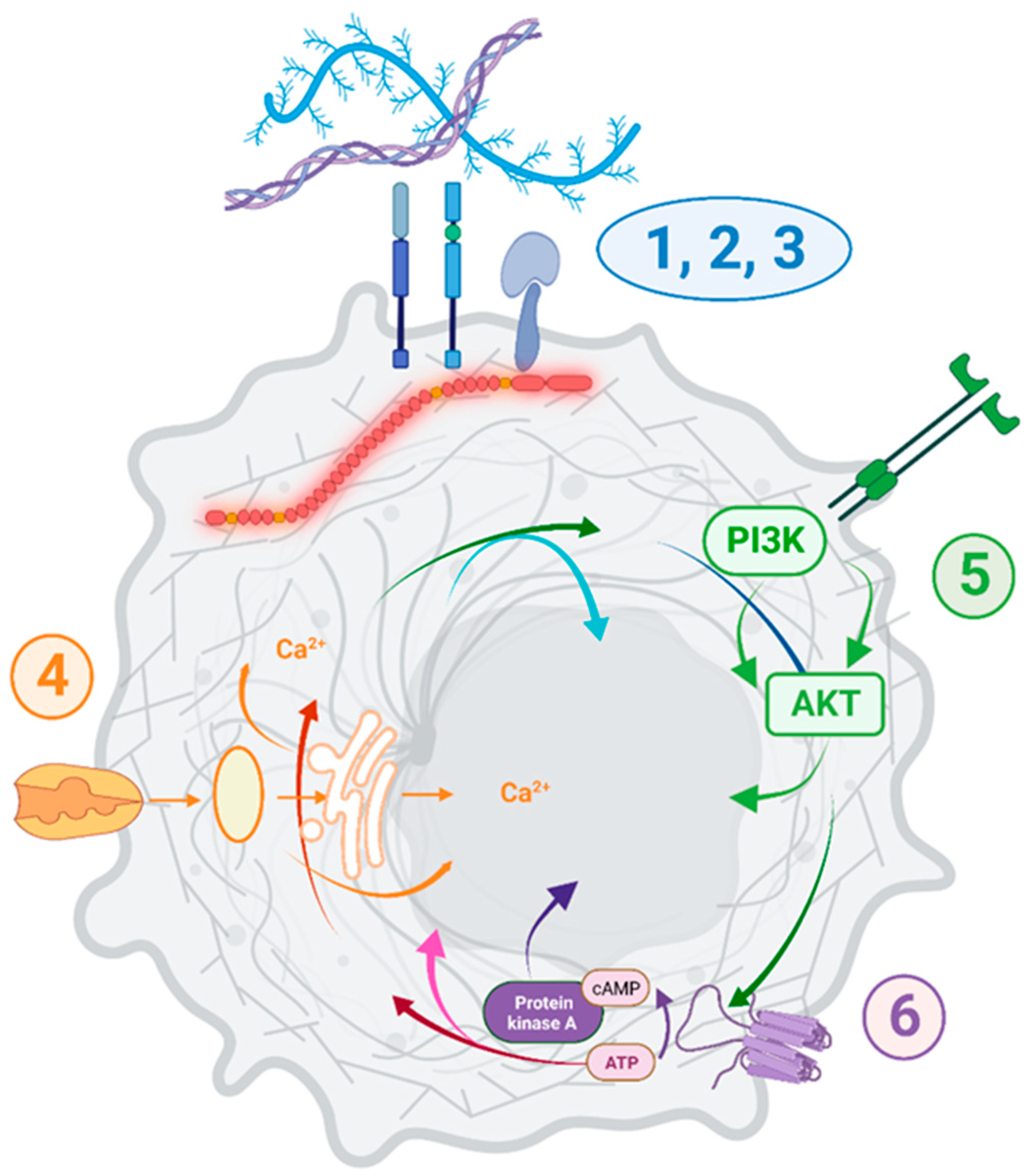 Cancers 15 01378 g009 Cancers 15 01378 g009