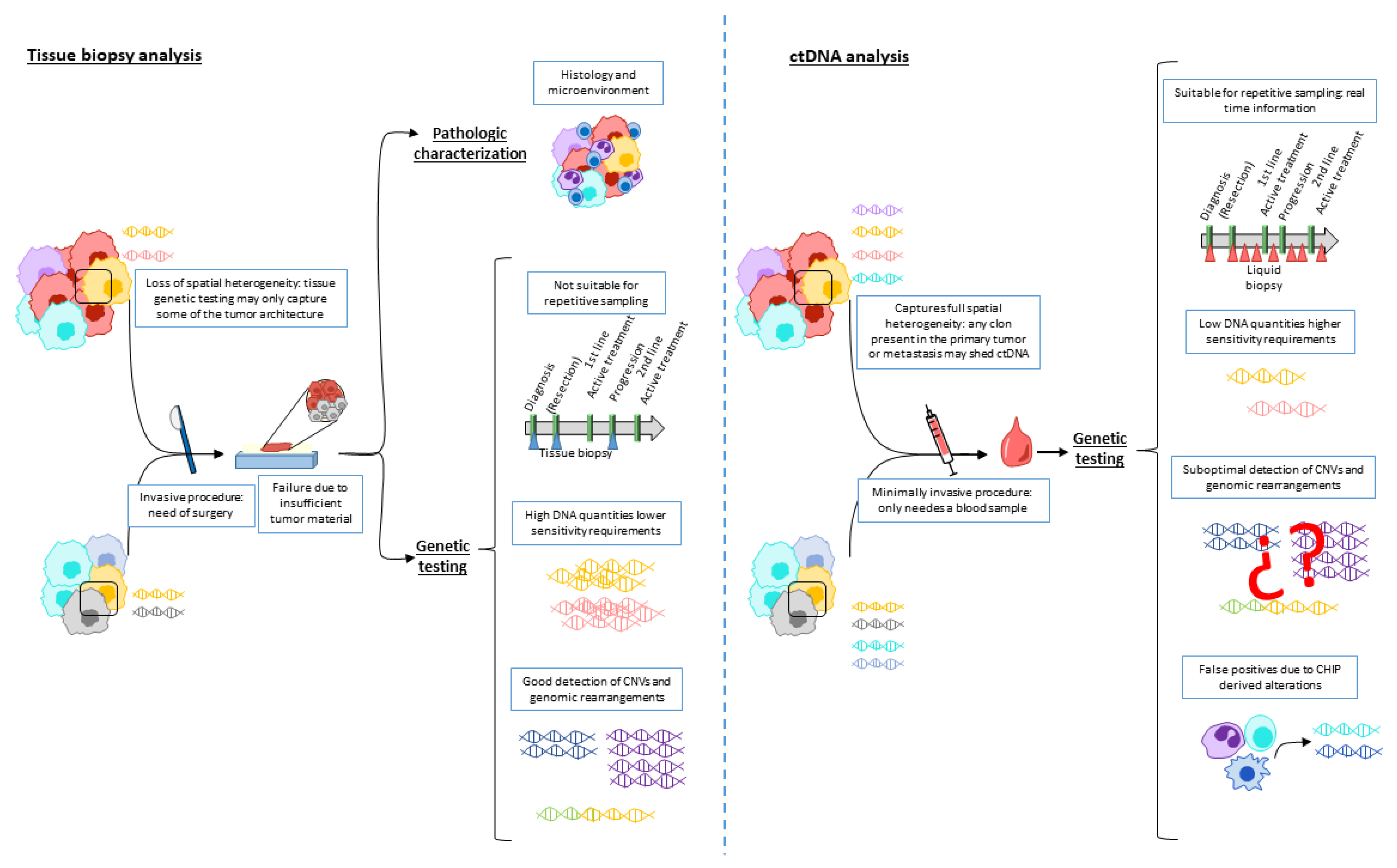 Cancers 15 01379 g001