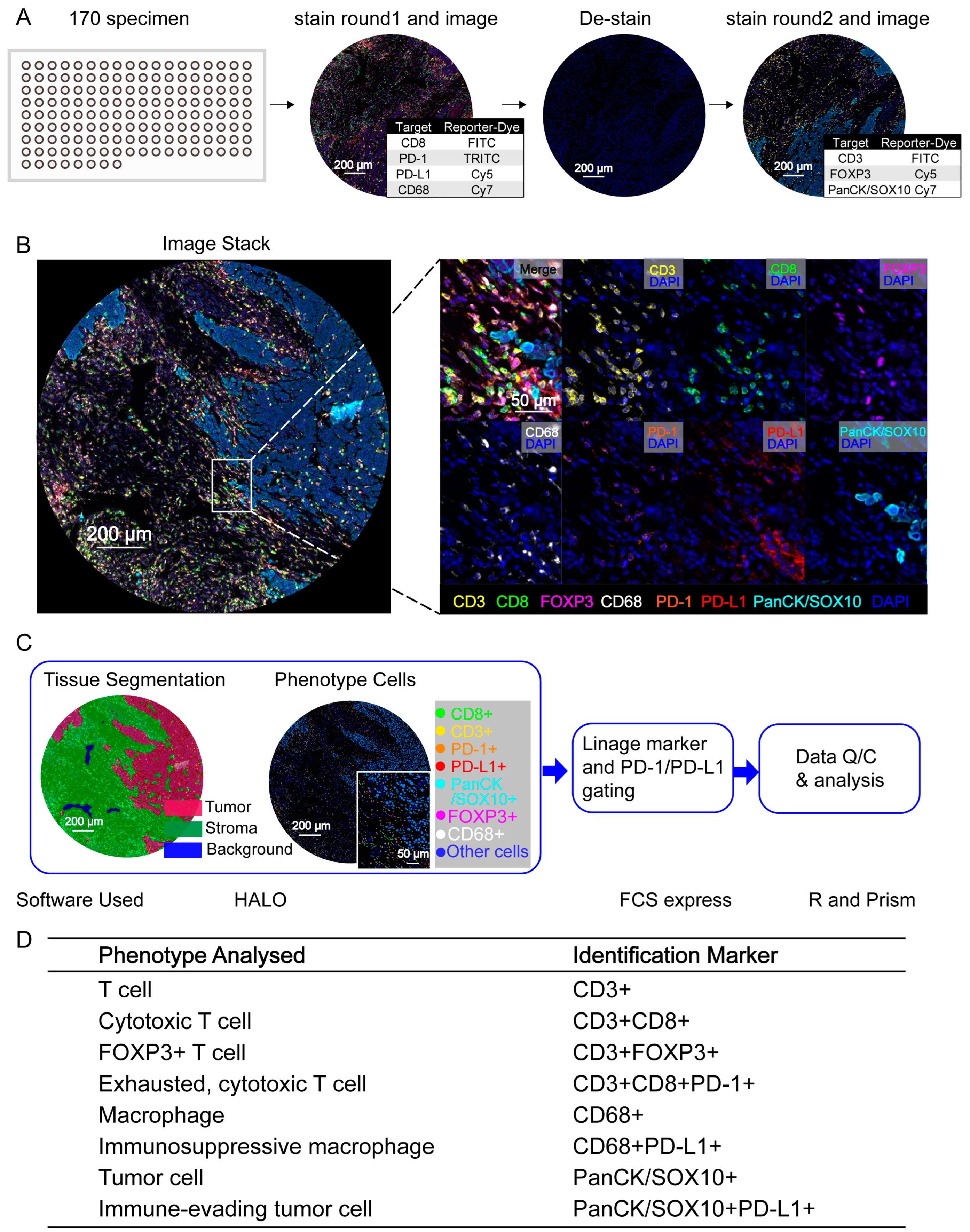 Cancers 15 01389 g001