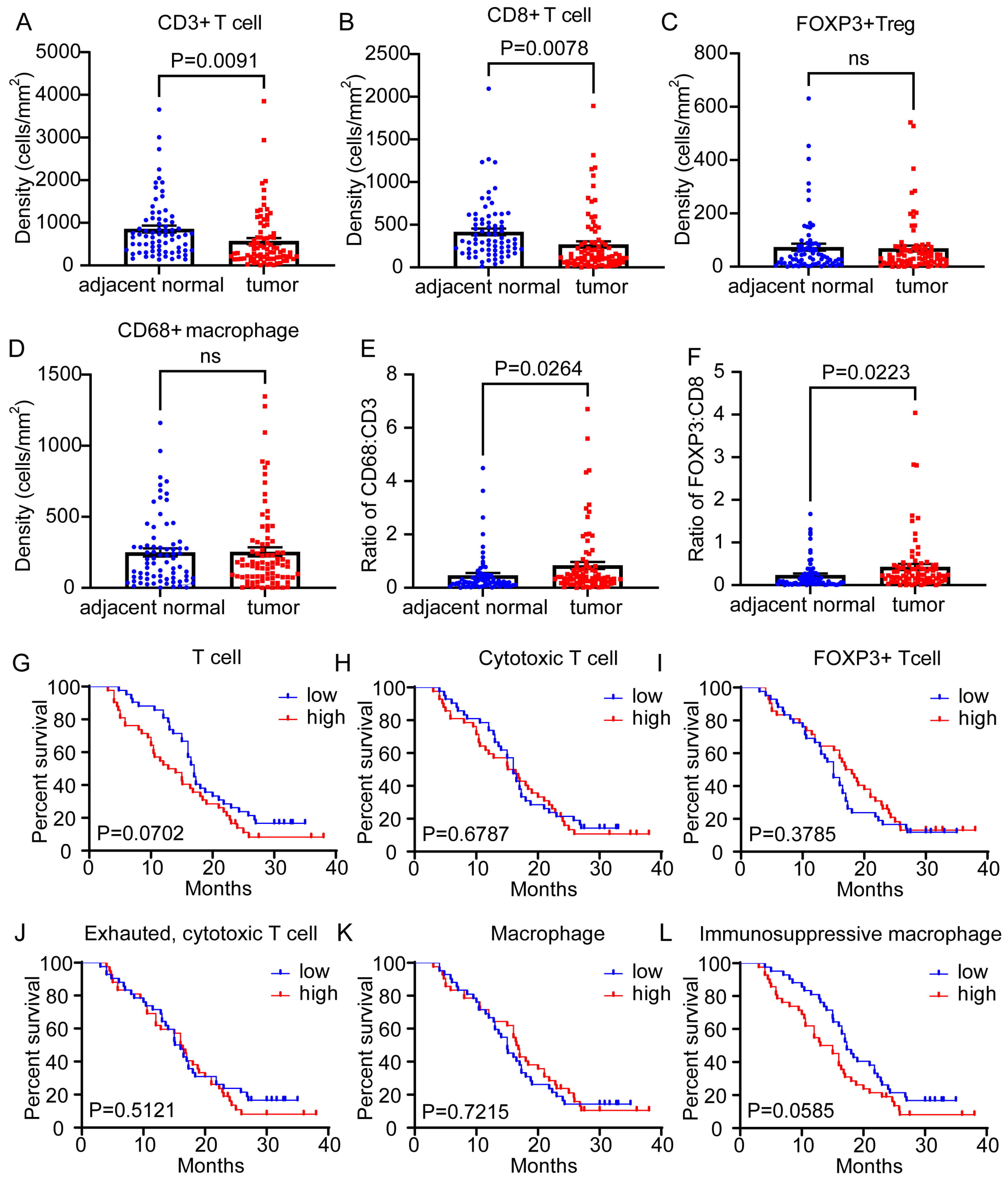 Cancers 15 01389 g002