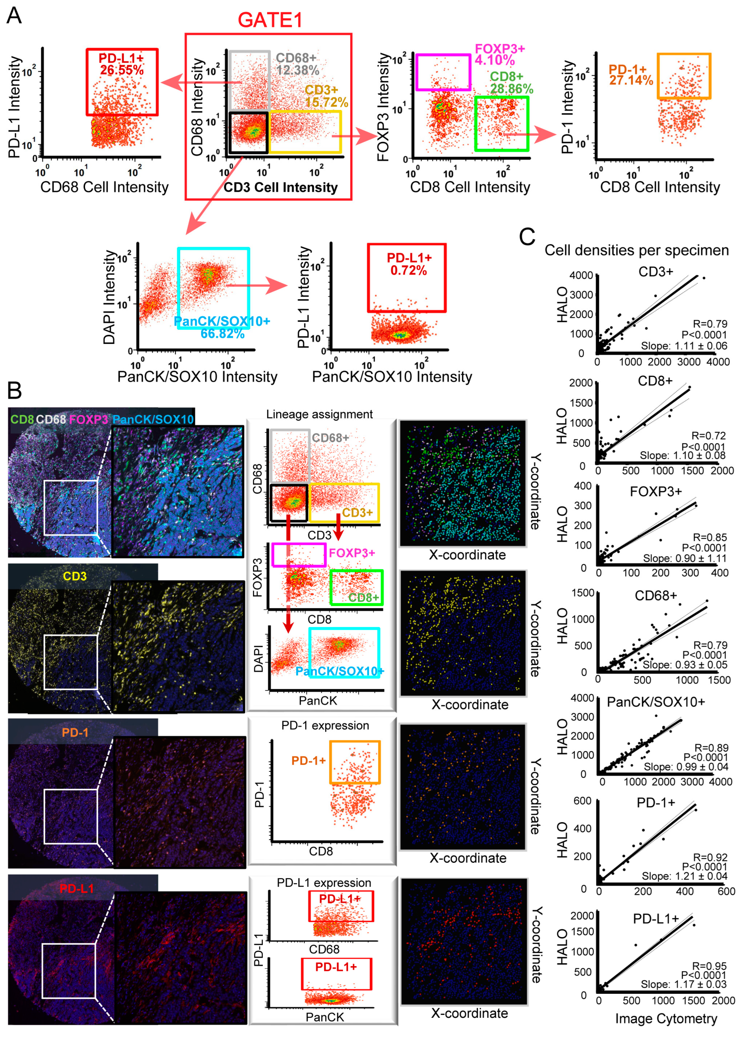 Cancers 15 01389 g003