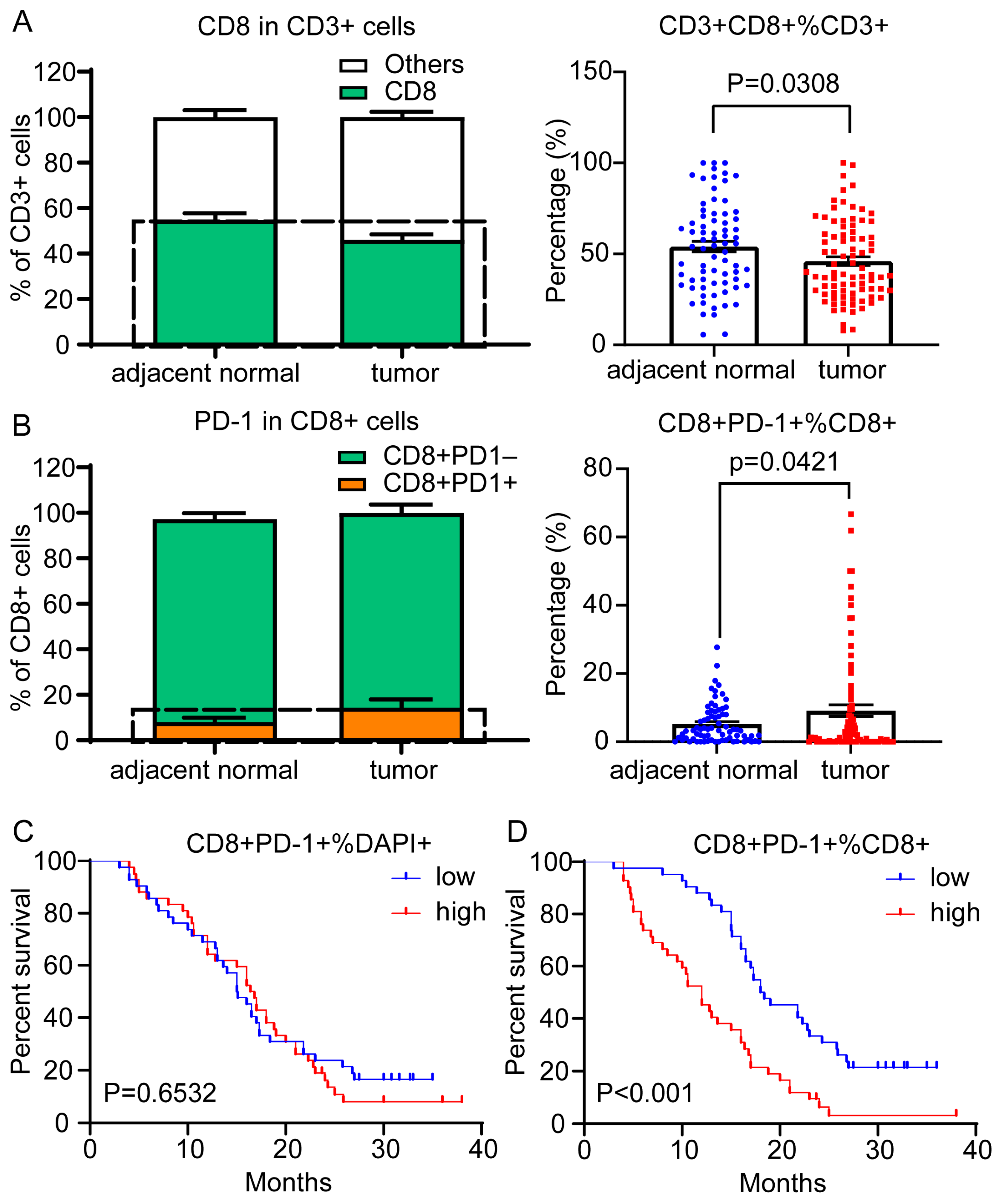 Cancers 15 01389 g004