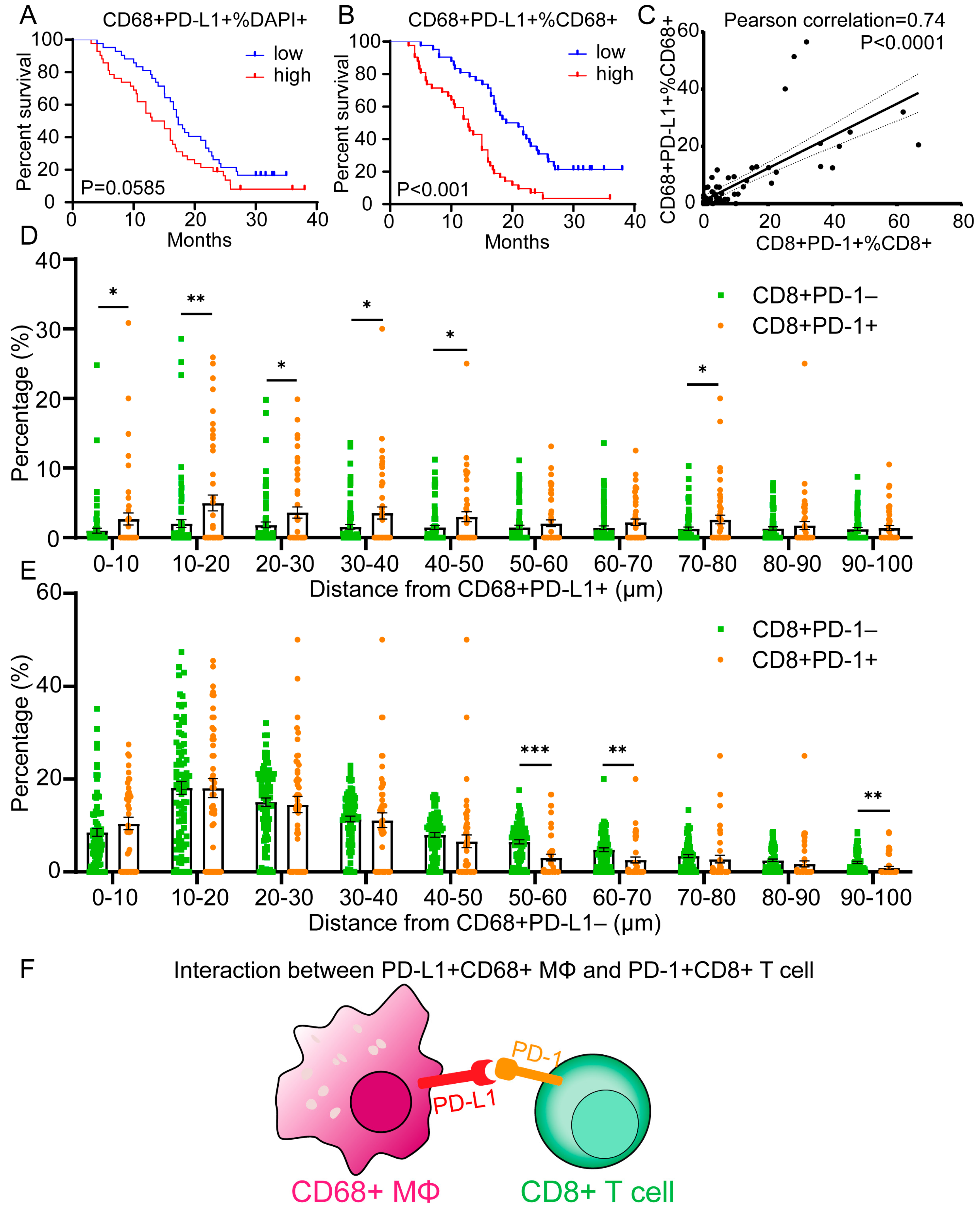 Cancers 15 01389 g005