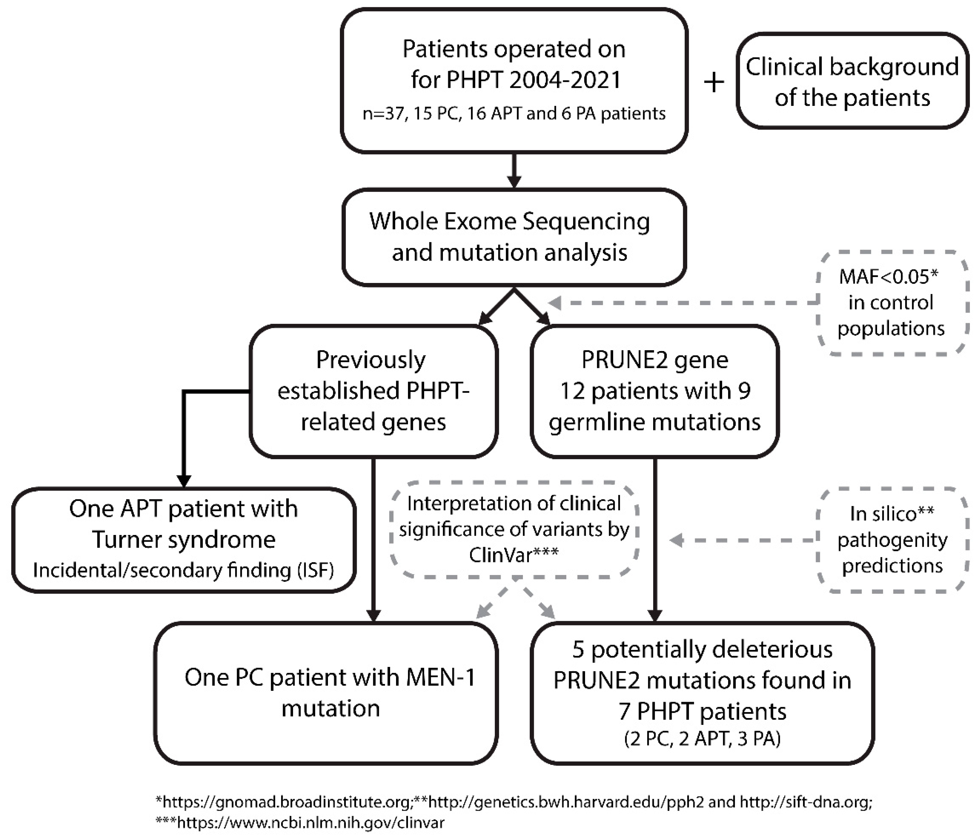 Cancers 15 01405 g001