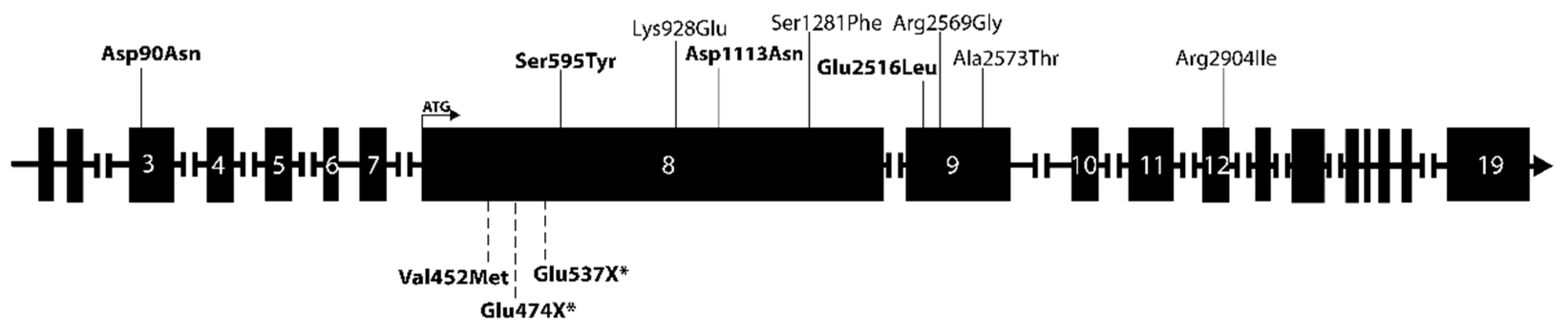 Cancers 15 01405 g002