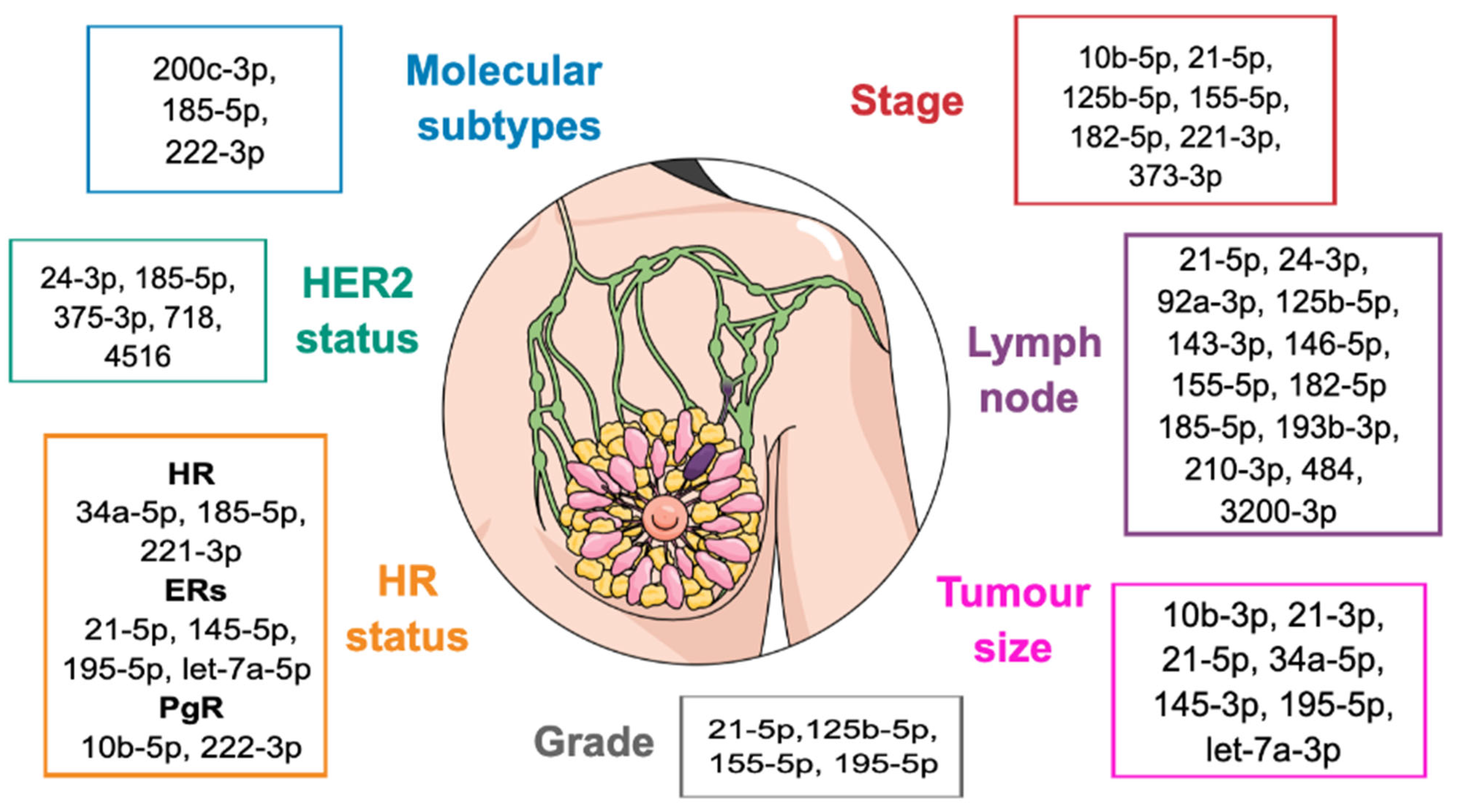 Cancers 15 01410 g001
