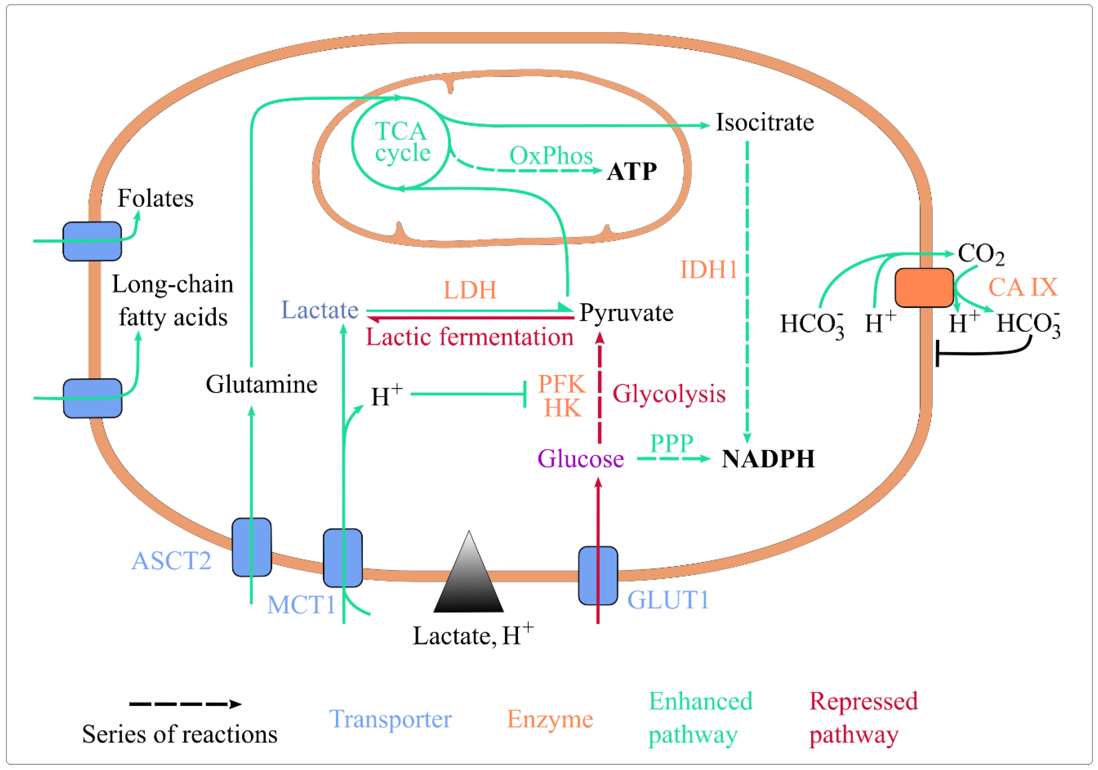 Cancers 15 01417 g001 Cancers 15 01417 g001
