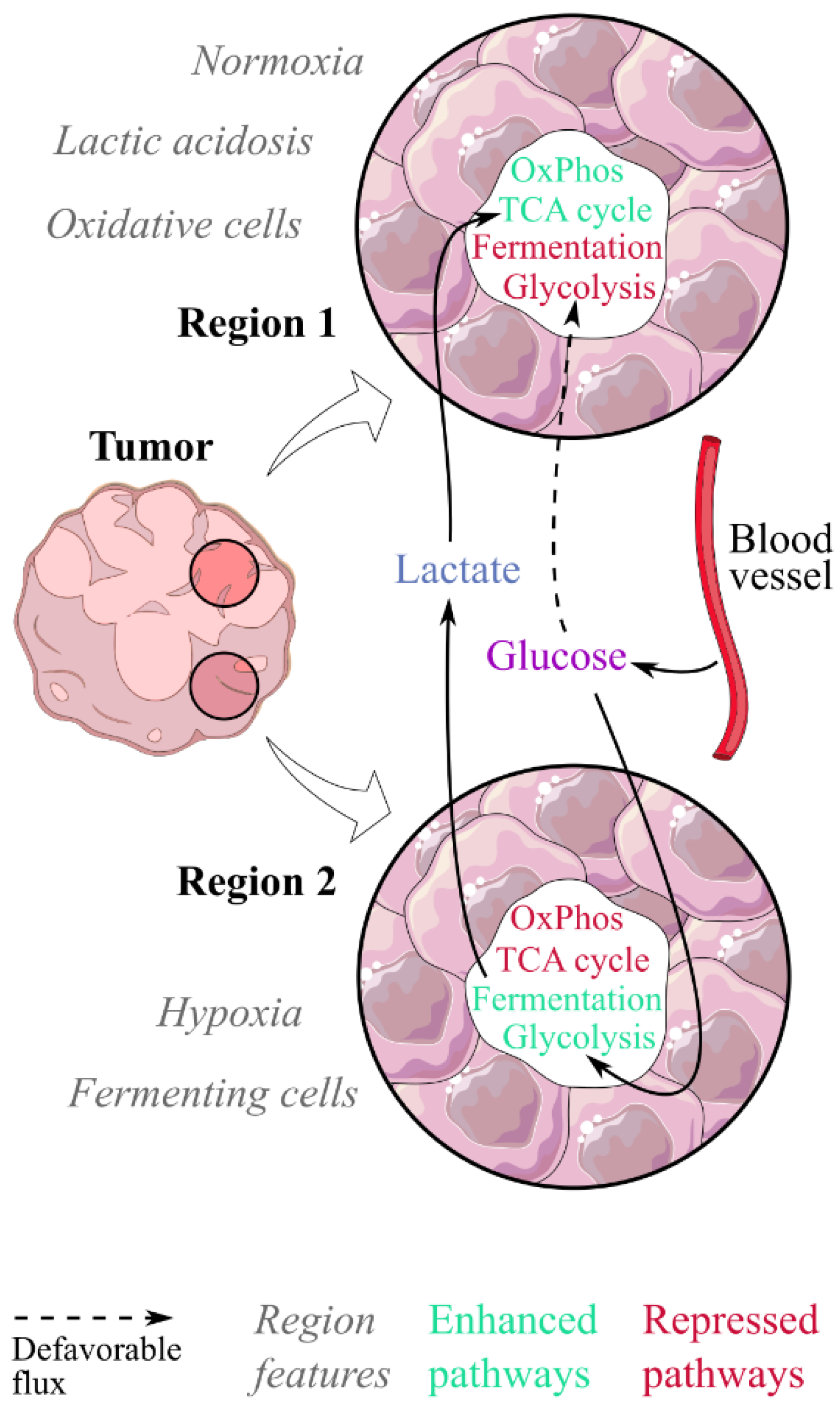 Cancers 15 01417 g002 Cancers 15 01417 g002