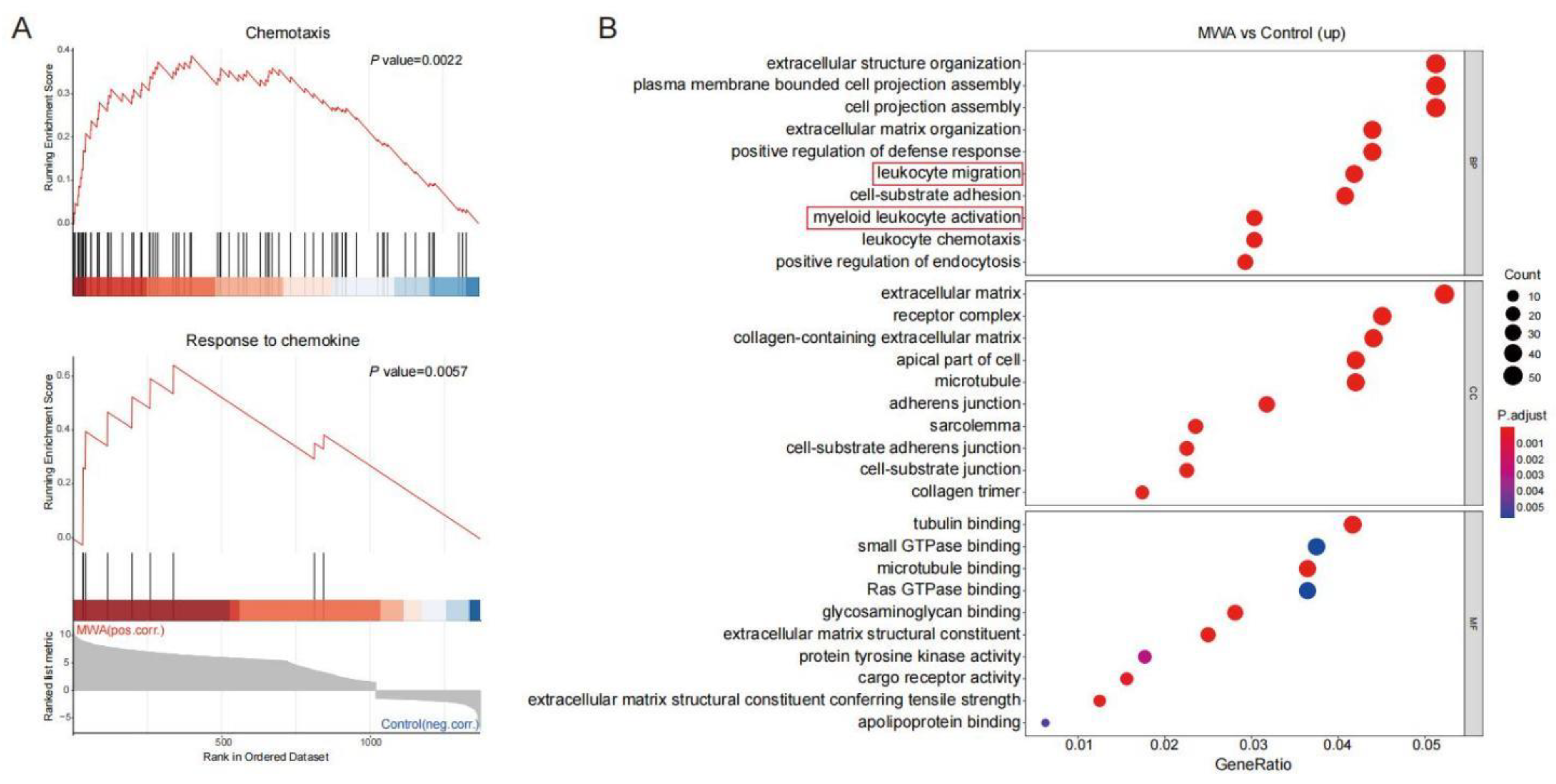 Cancers 15 01427 g002