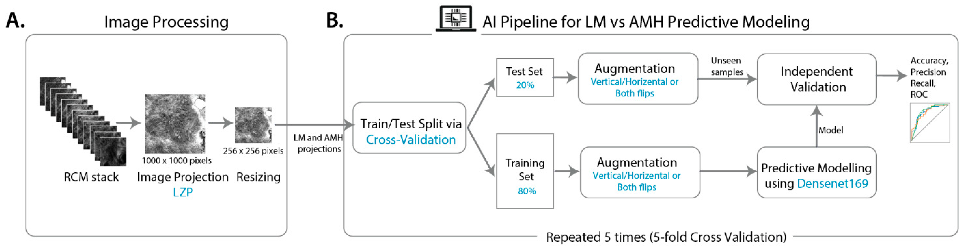 Cancers 15 01428 g001