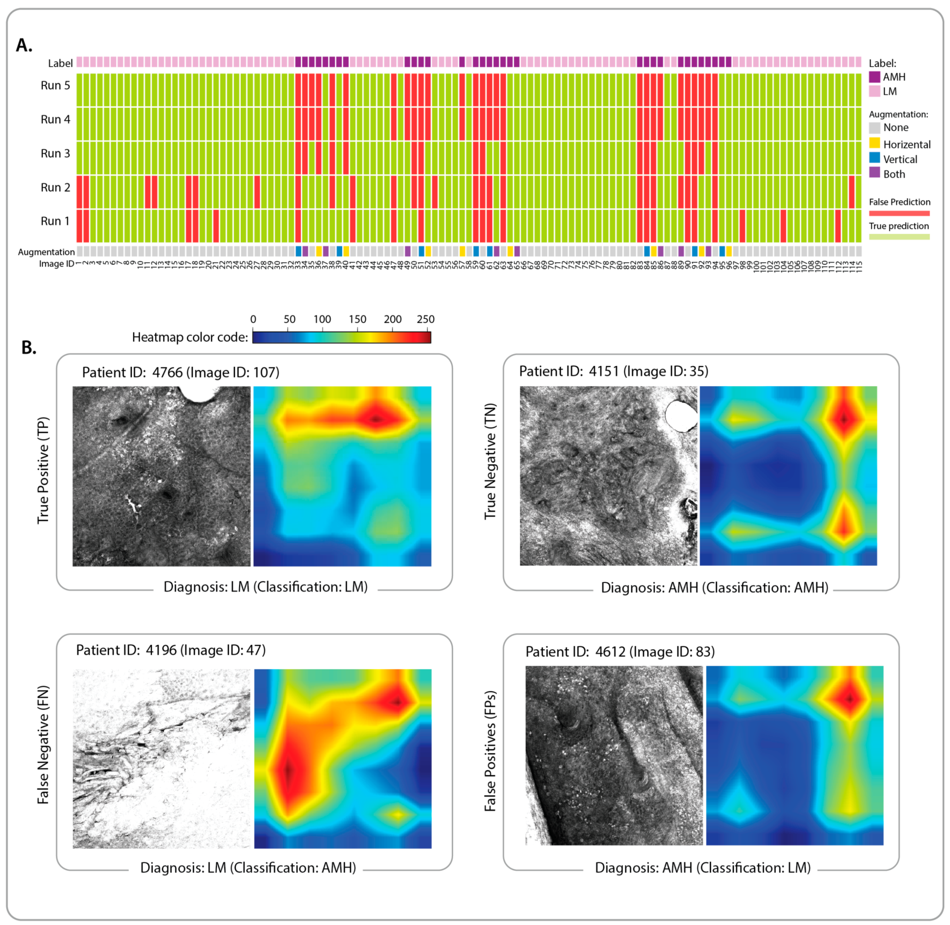 Cancers 15 01428 g003
