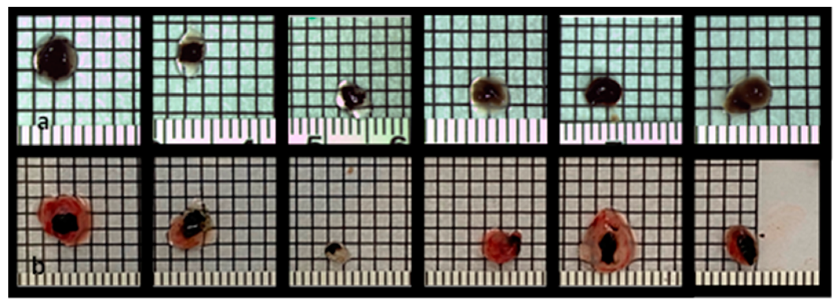 Cancers 15 01436 g001 Cancers 15 01436 g001