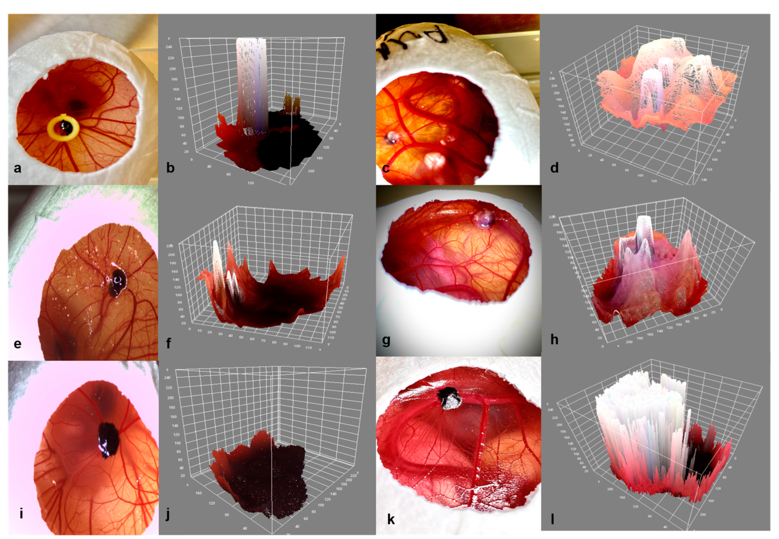 Cancers 15 01436 g011 Cancers 15 01436 g011