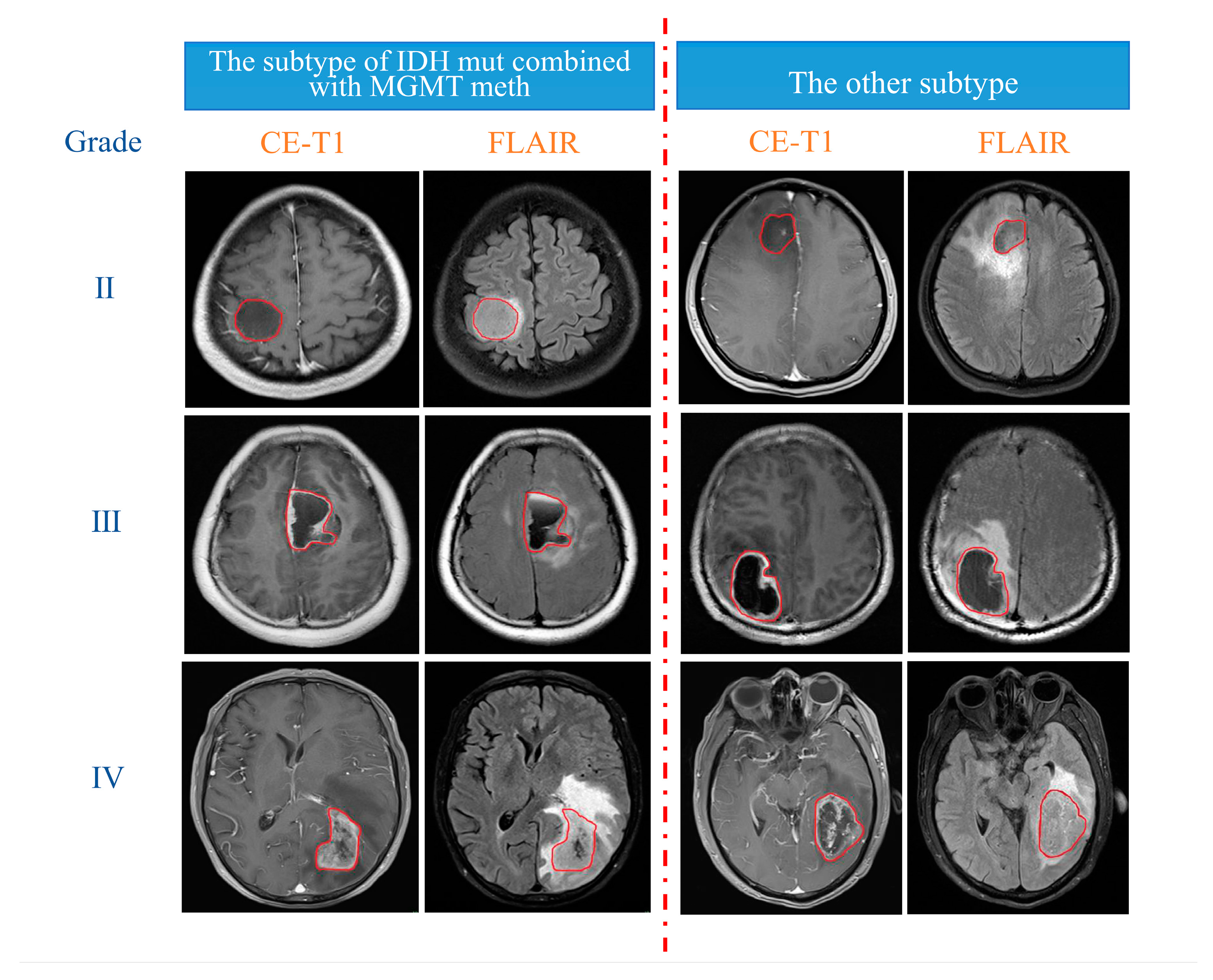 Cancers 15 01440 g002