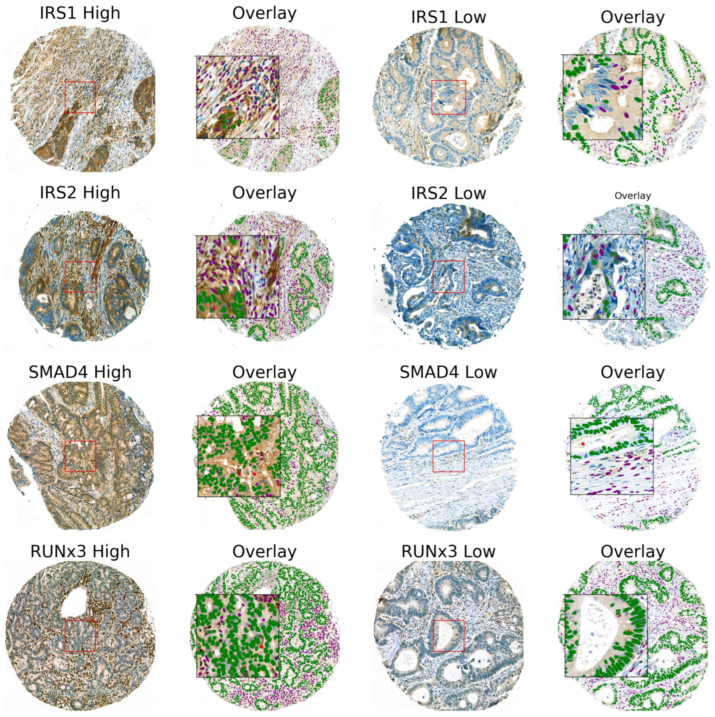 Cancers 15 01448 g001 Cancers 15 01448 g001