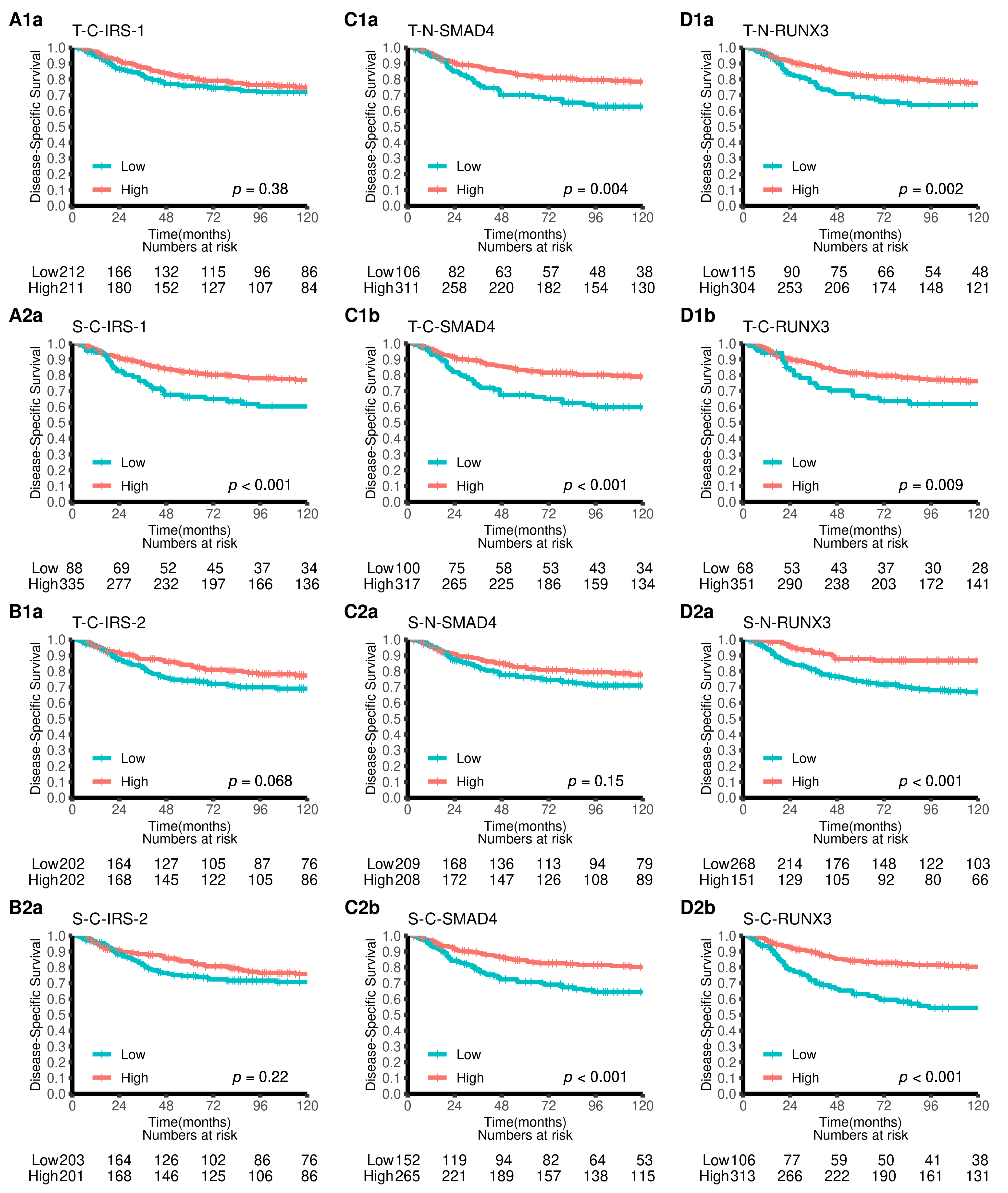 Cancers 15 01448 g003 Cancers 15 01448 g003