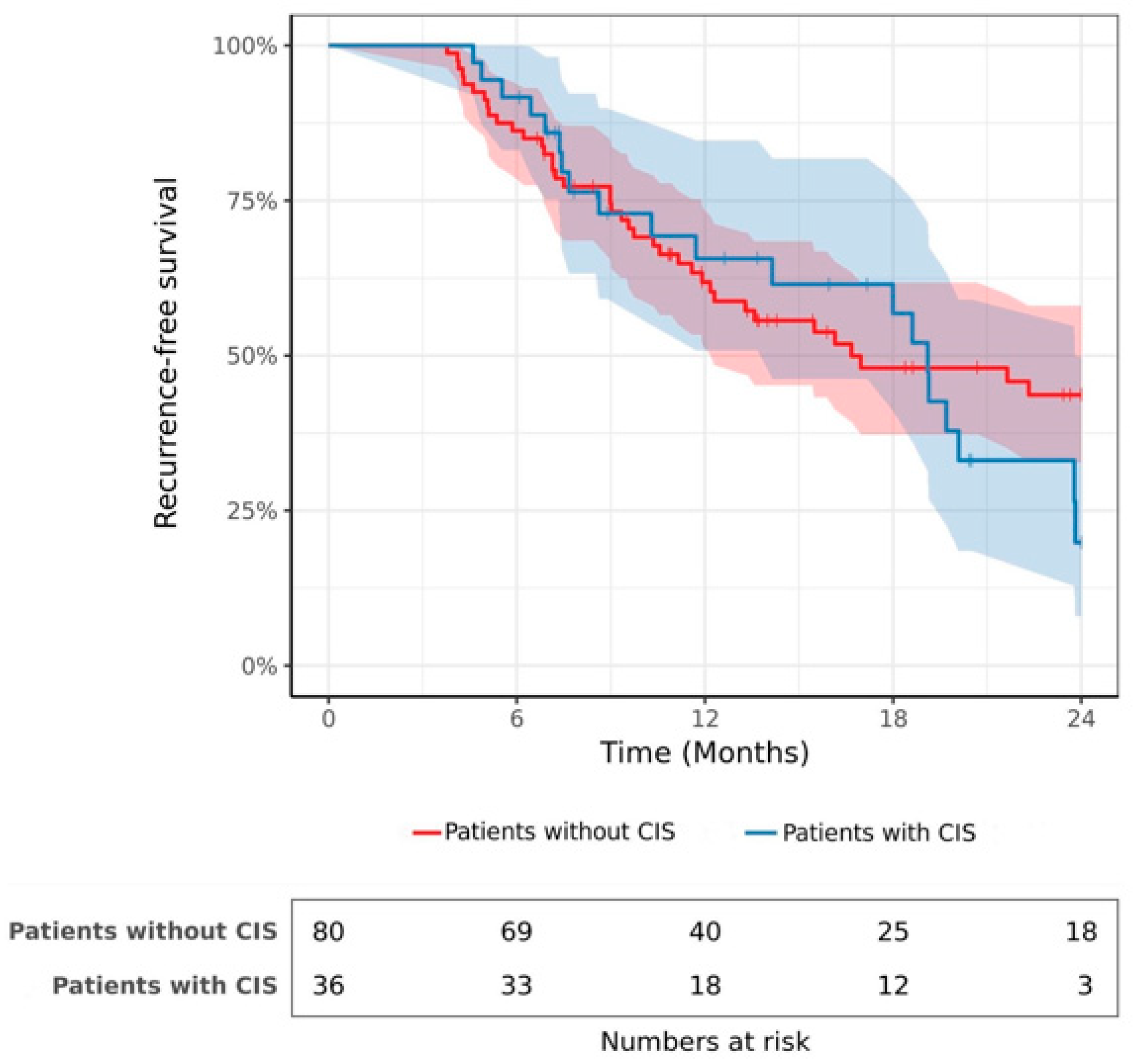Cancers 15 01455 g001