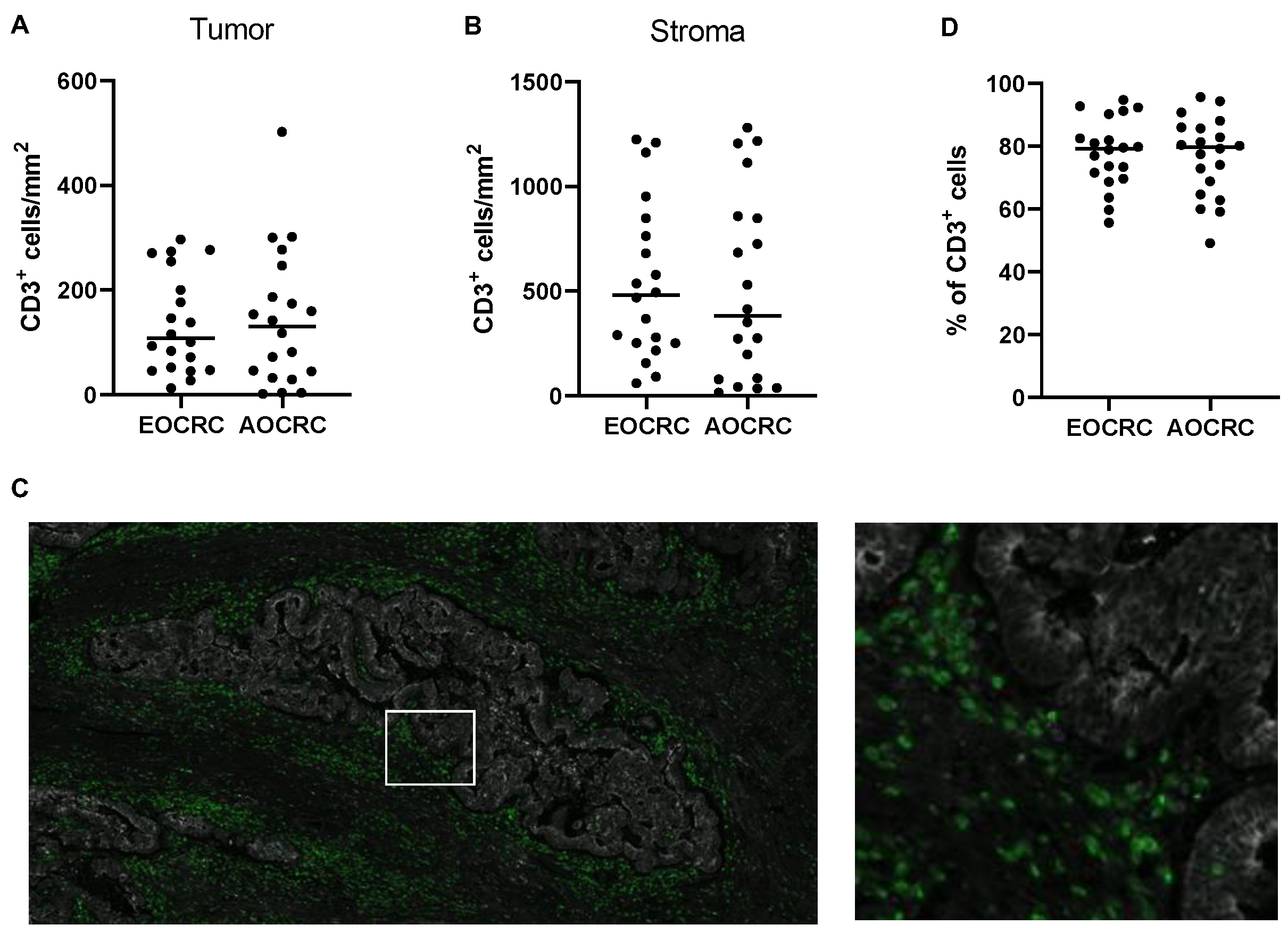 Cancers 15 01457 g001