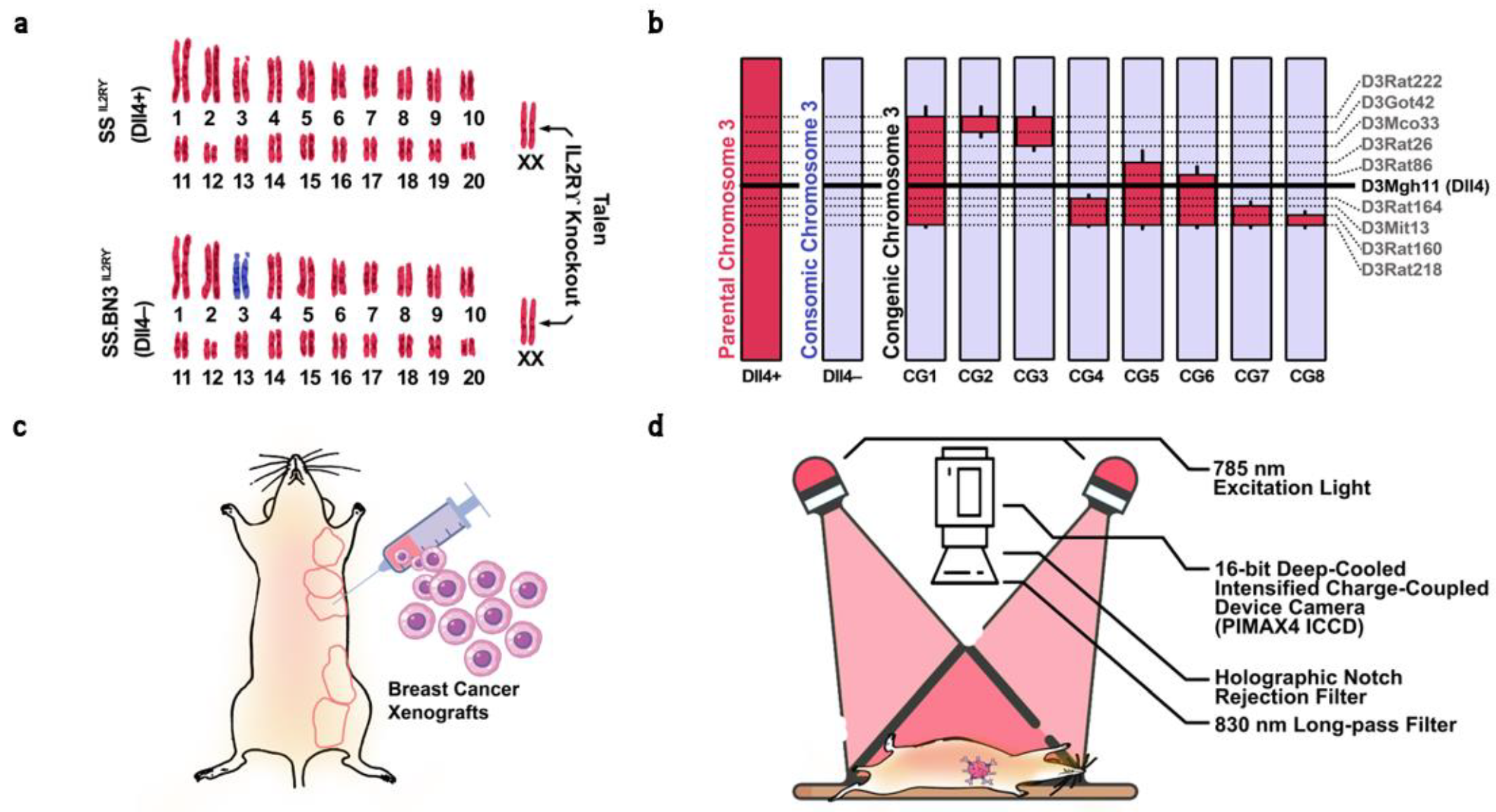 Cancers 15 01460 g001