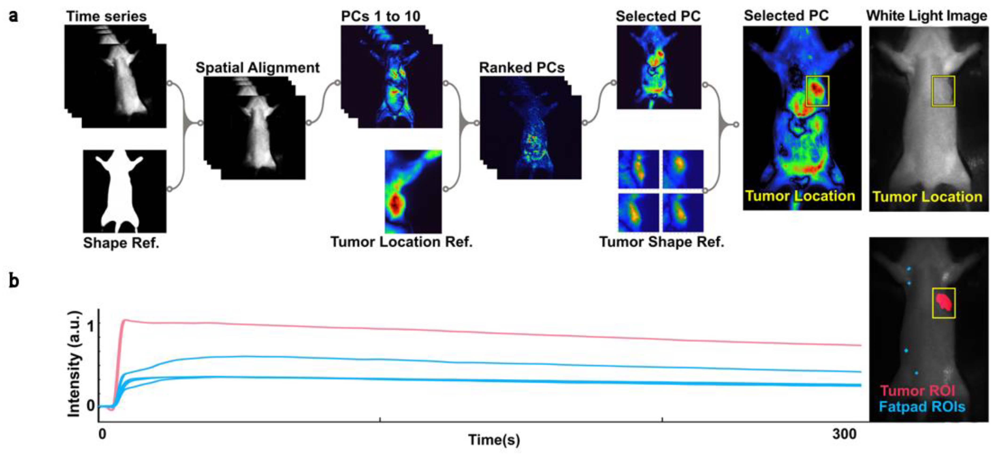 Cancers 15 01460 g002