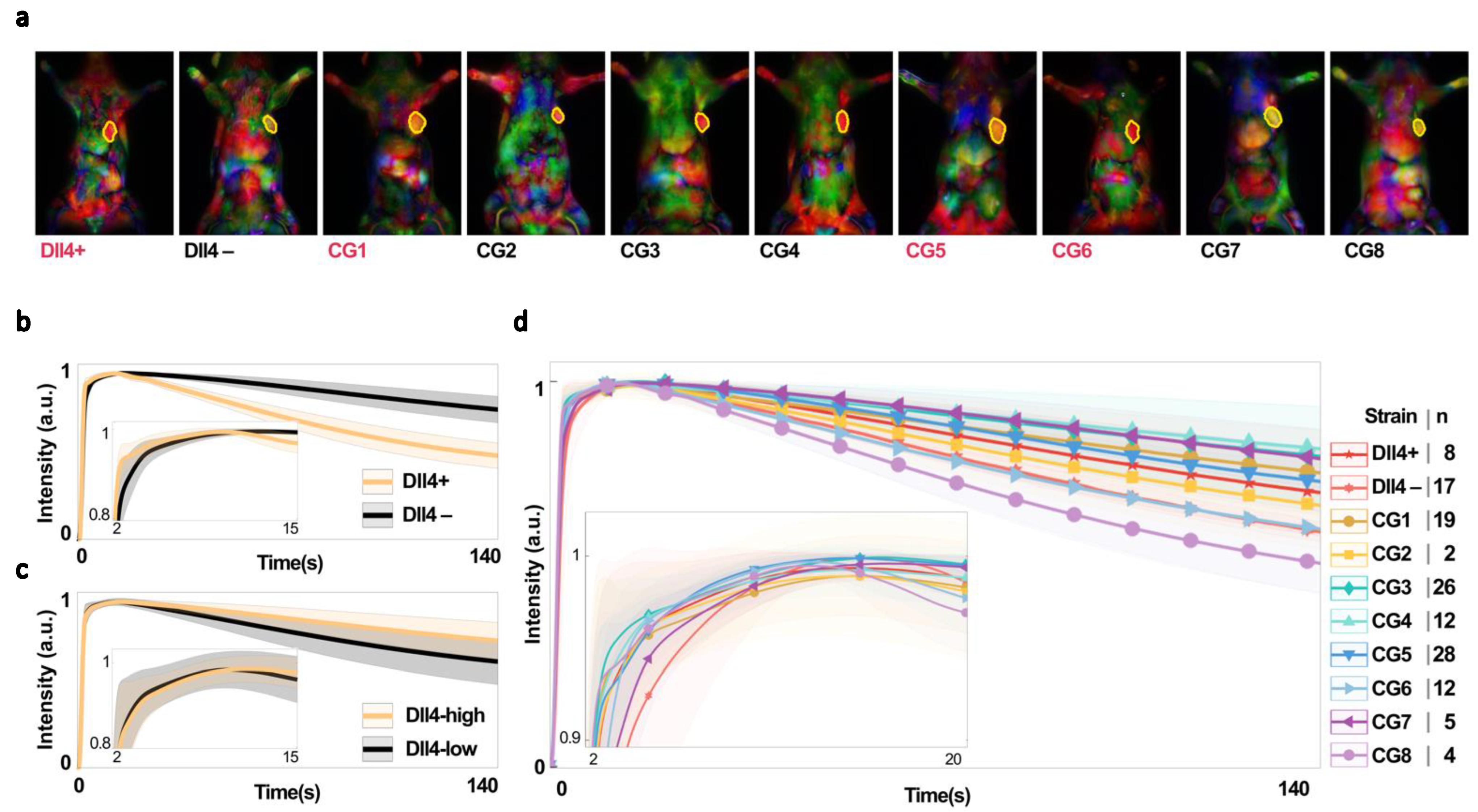 Cancers 15 01460 g004