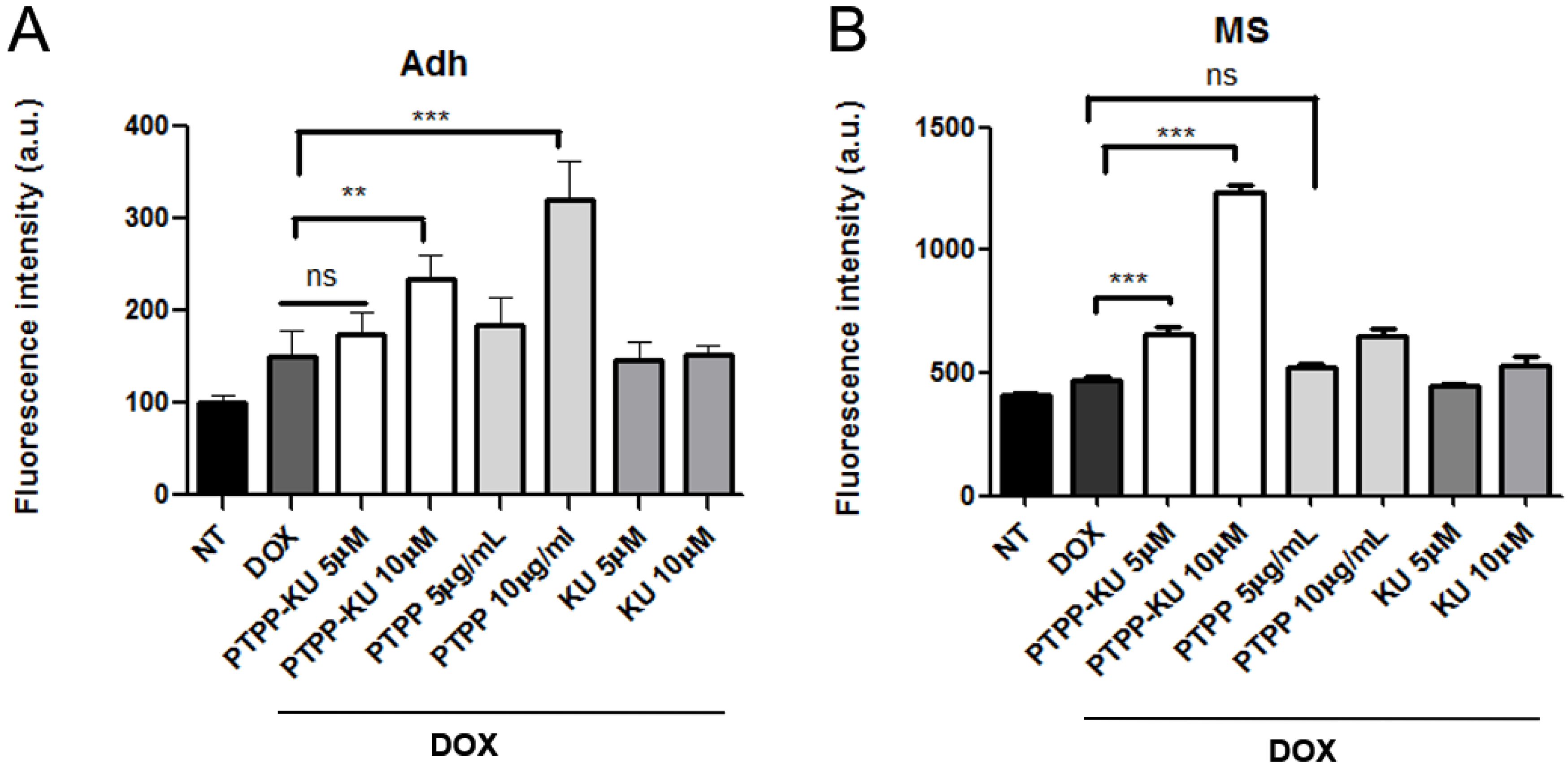 Cancers 15 01474 g003 Cancers 15 01474 g003