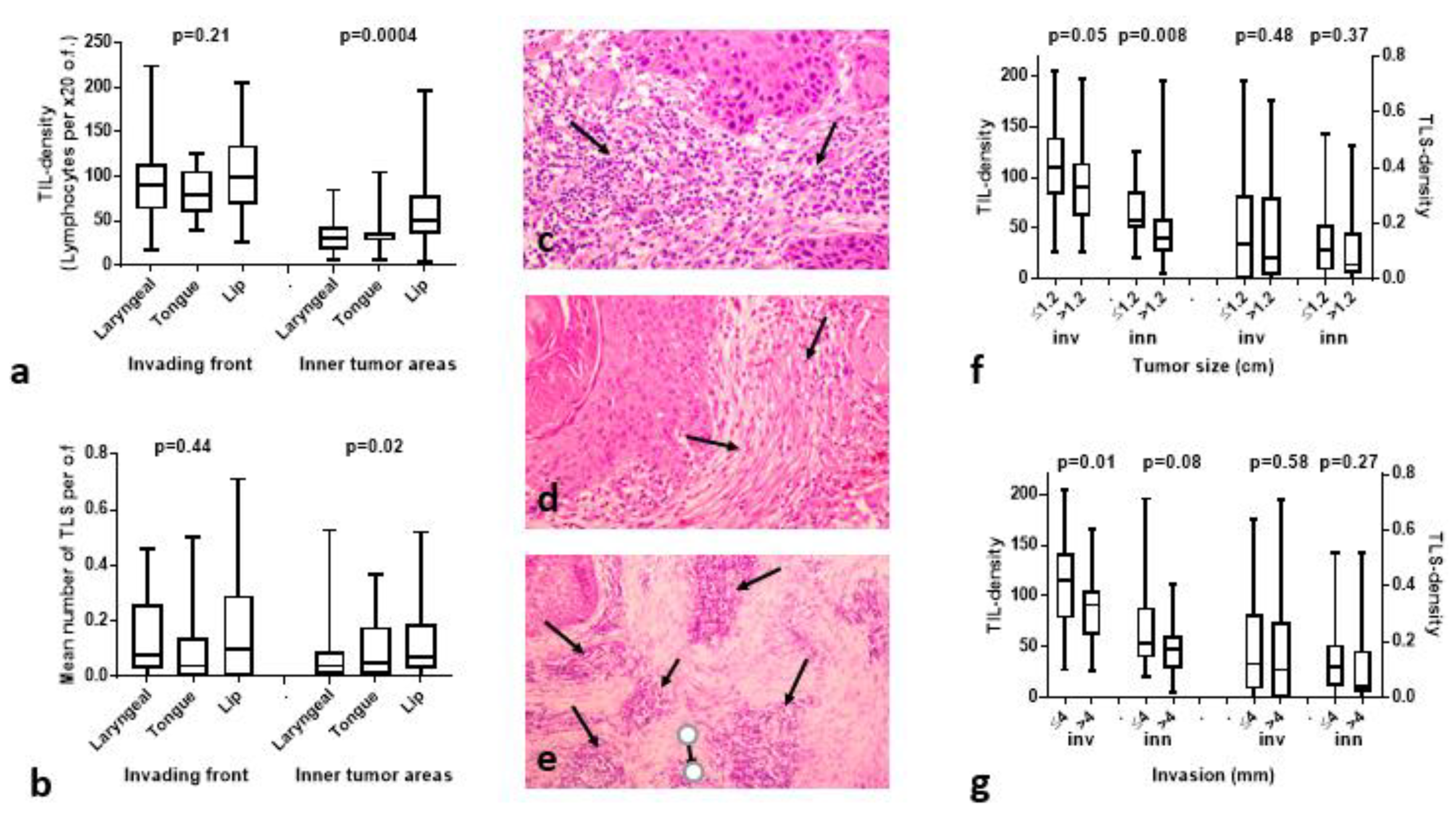Cancers 15 01478 g001