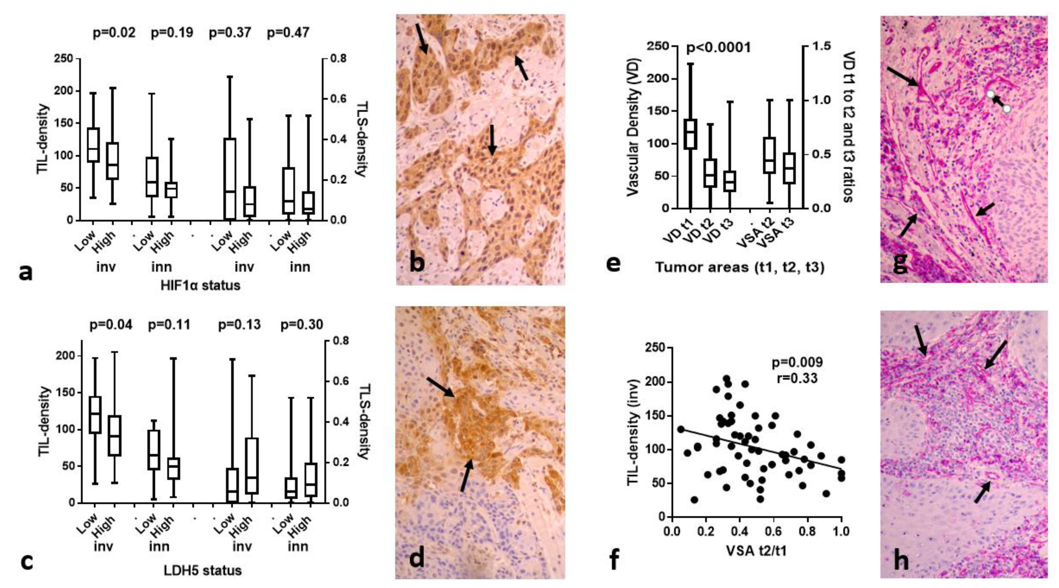 Cancers 15 01478 g002