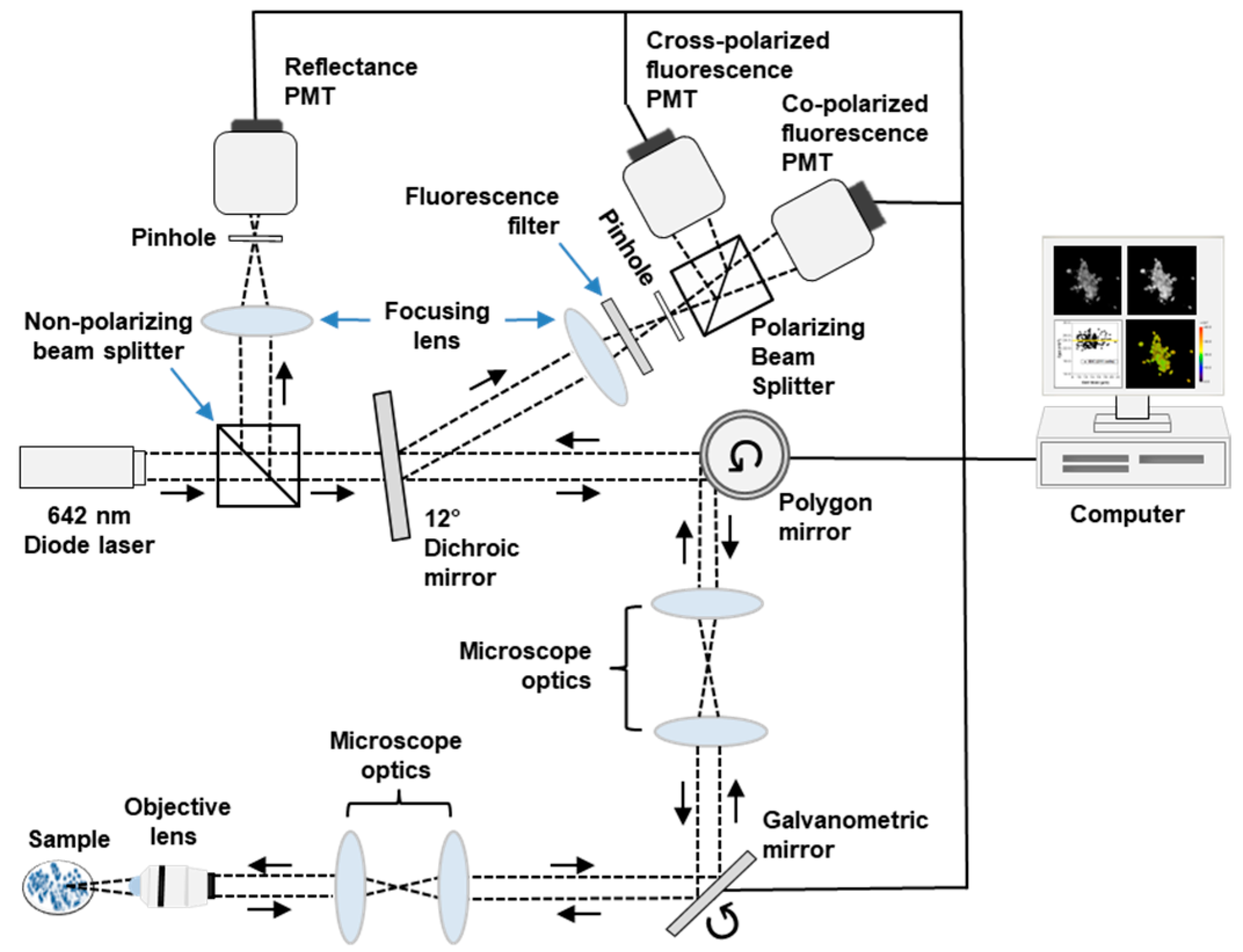 Cancers 15 01501 g001