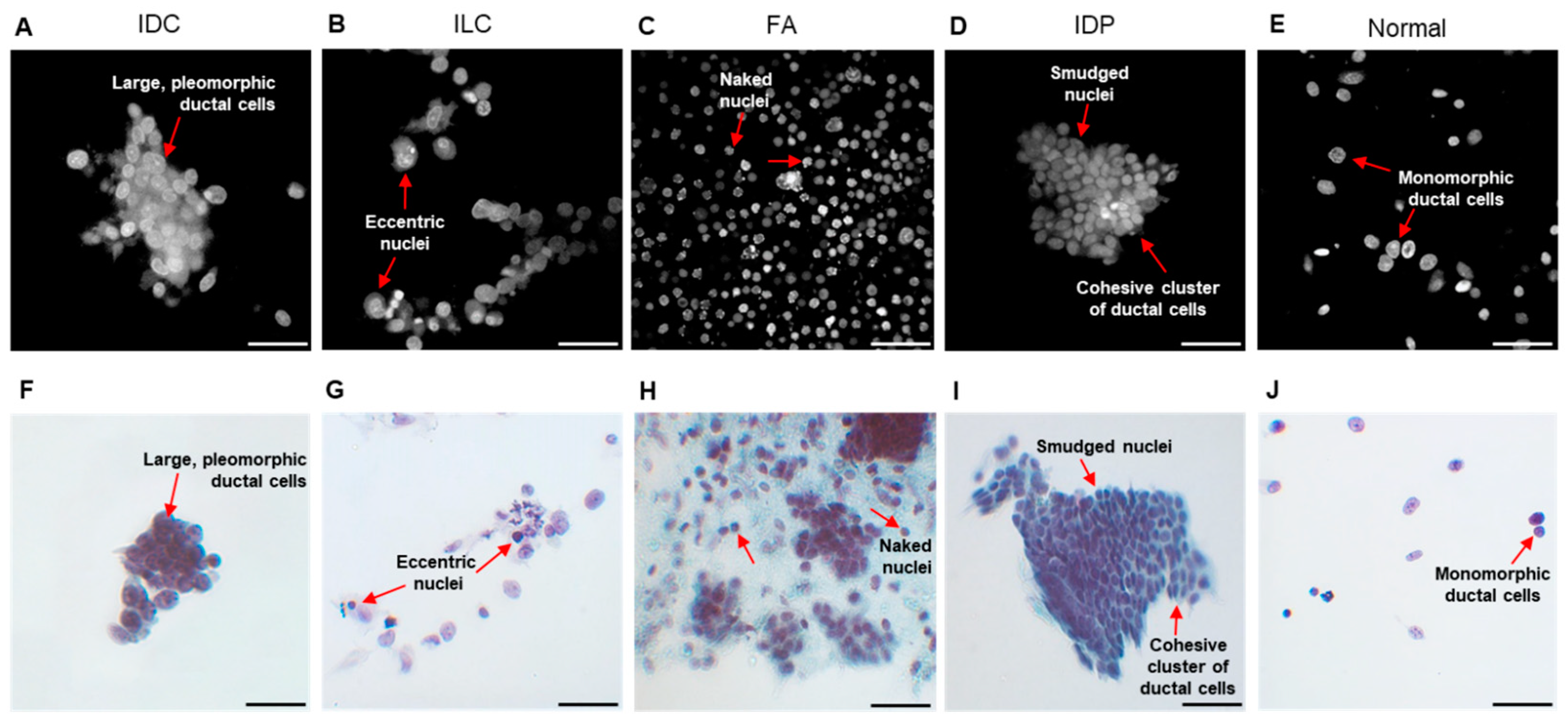 Cancers 15 01501 g006