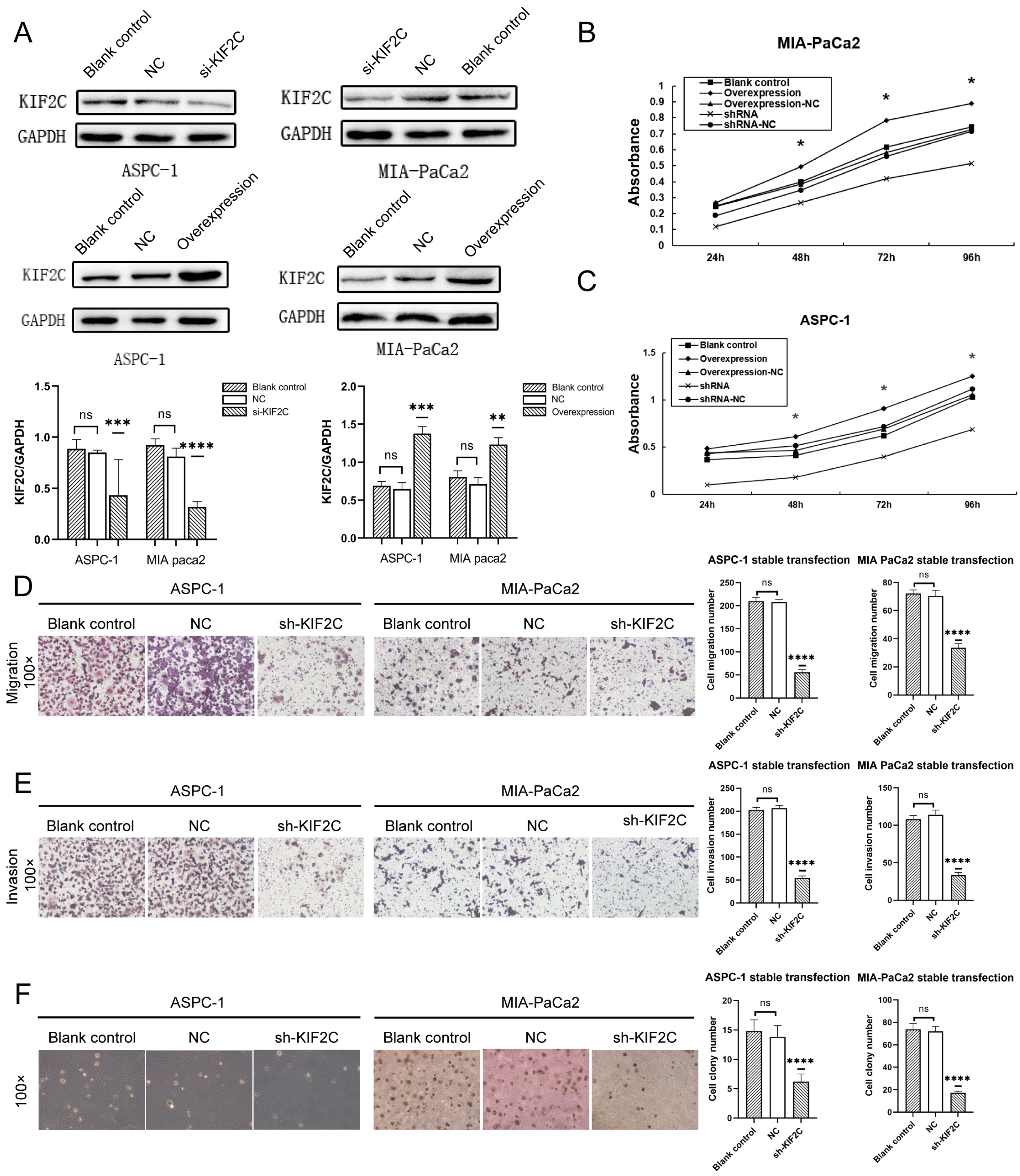 Cancers 15 01502 g003