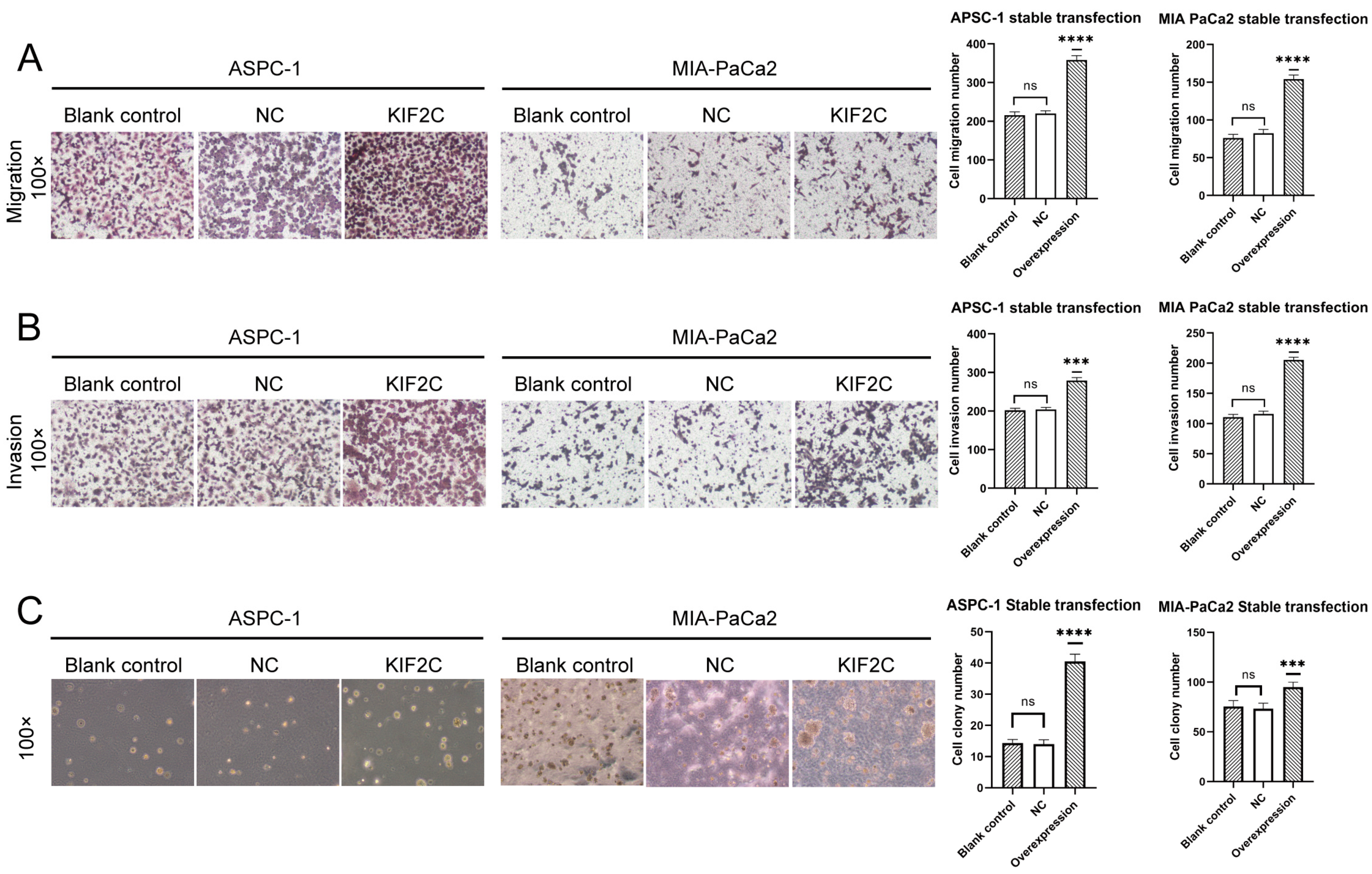 Cancers 15 01502 g004