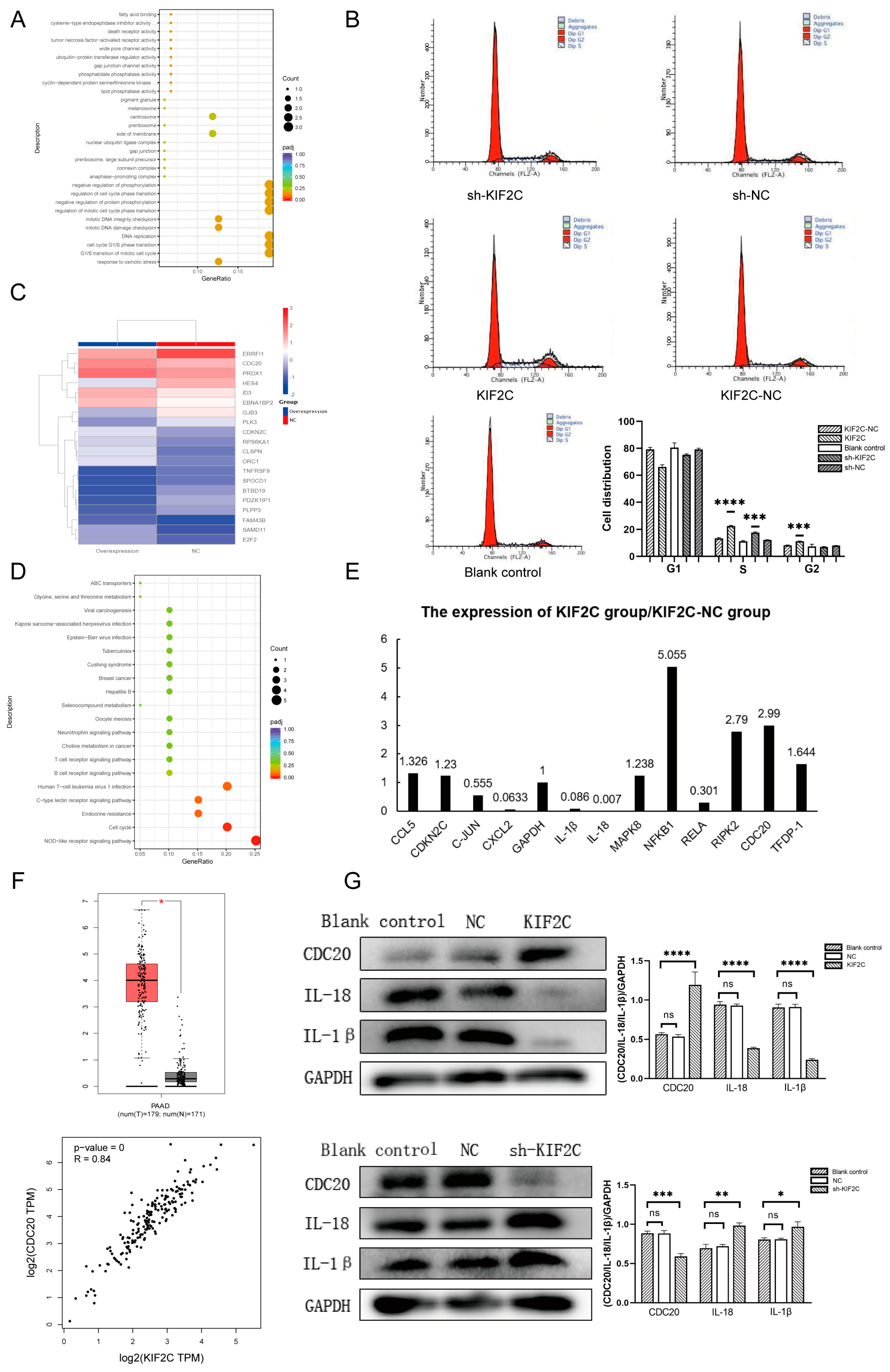 Cancers 15 01502 g006