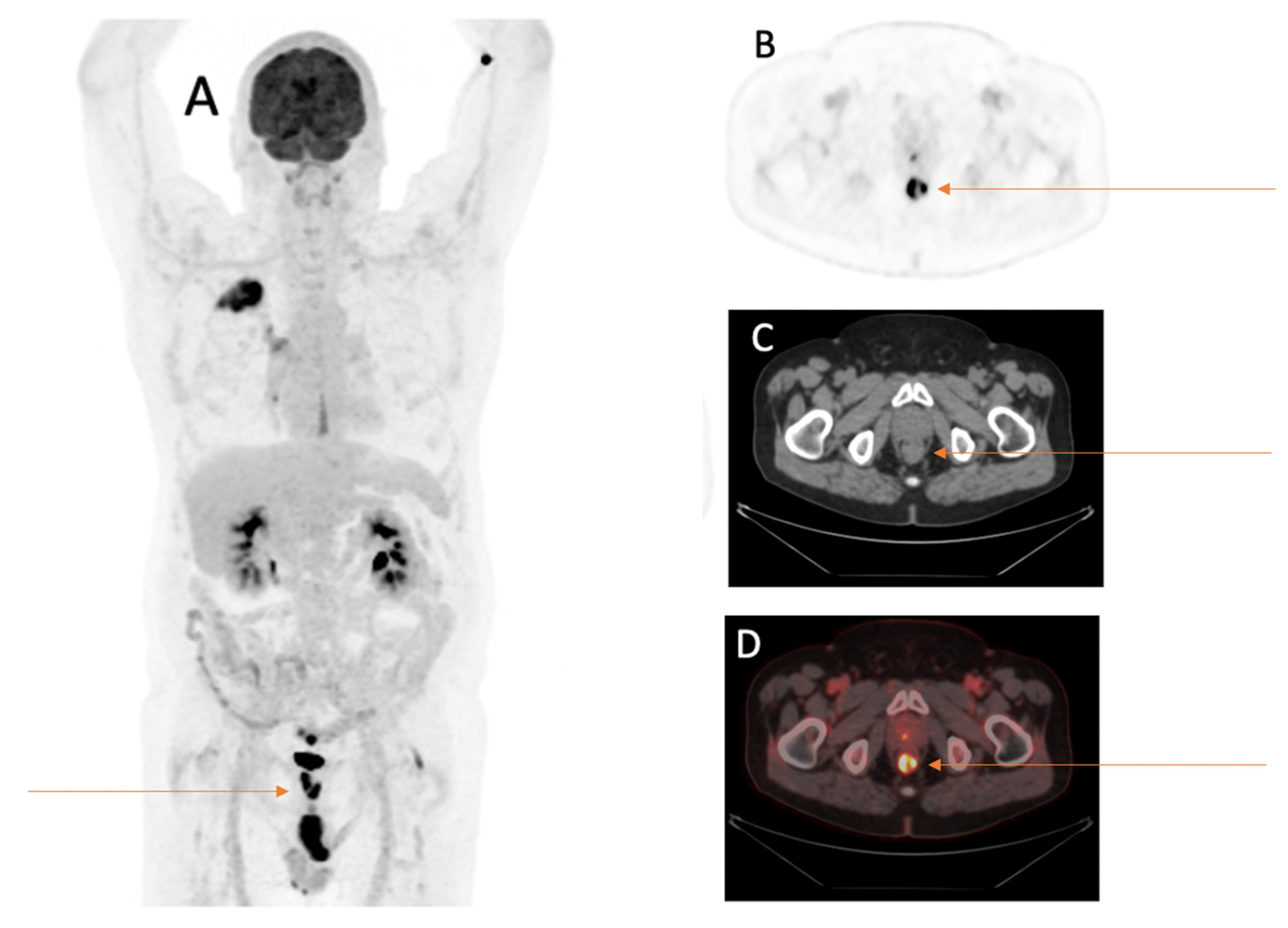 Cancers 15 01521 g002
