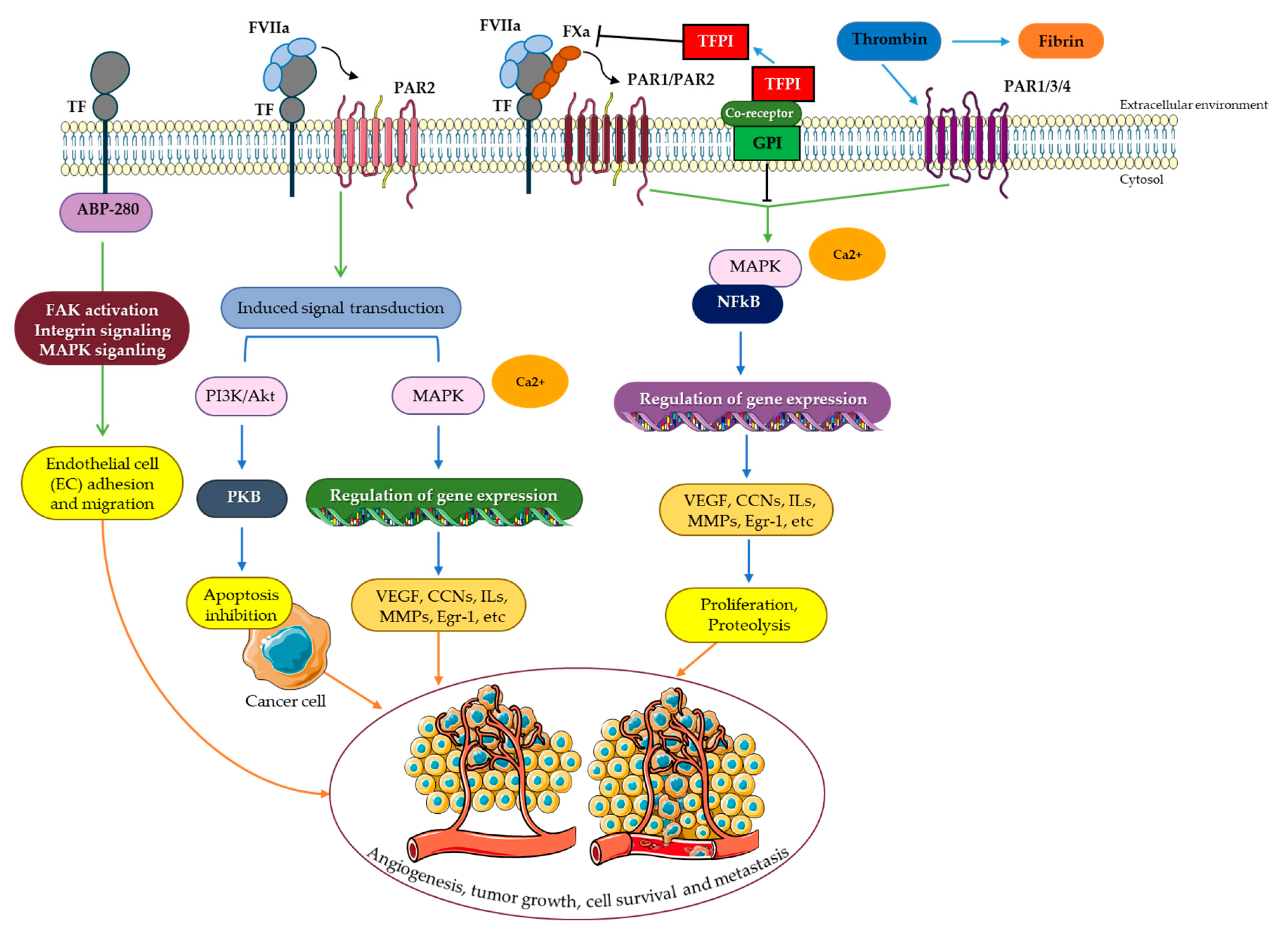 Cancers 15 01524 g003