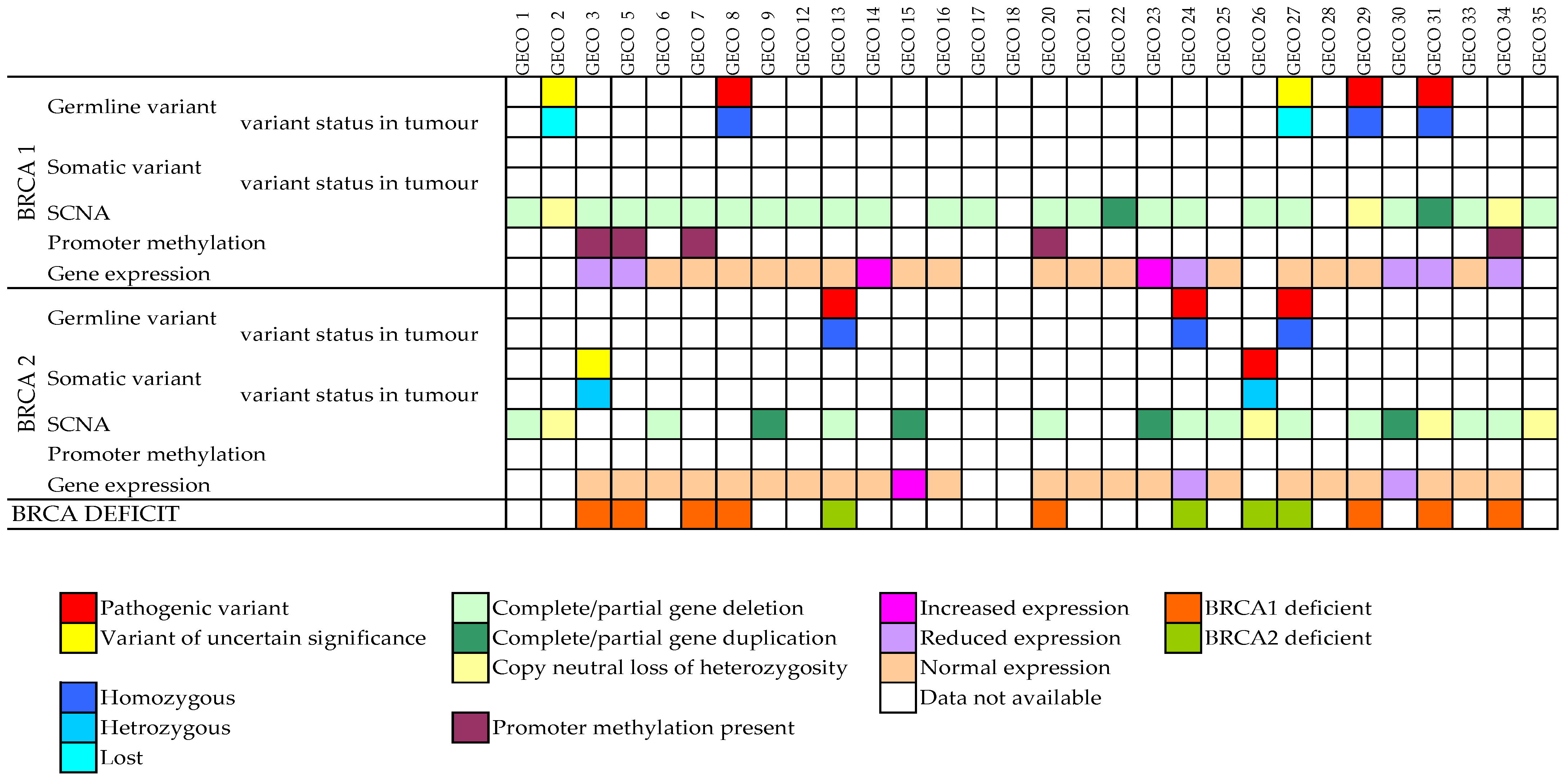 Cancers 15 01530 g001