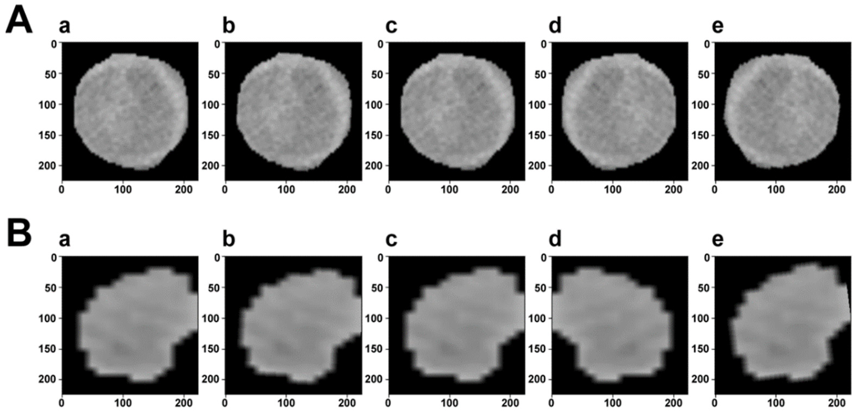 Cancers 15 01538 g001