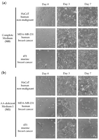 Cancers 15 01540 g001