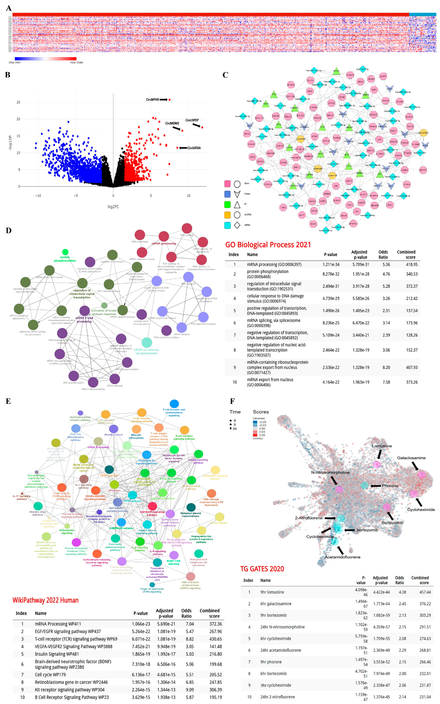 Cancers 15 01554 g001 Cancers 15 01554 g001