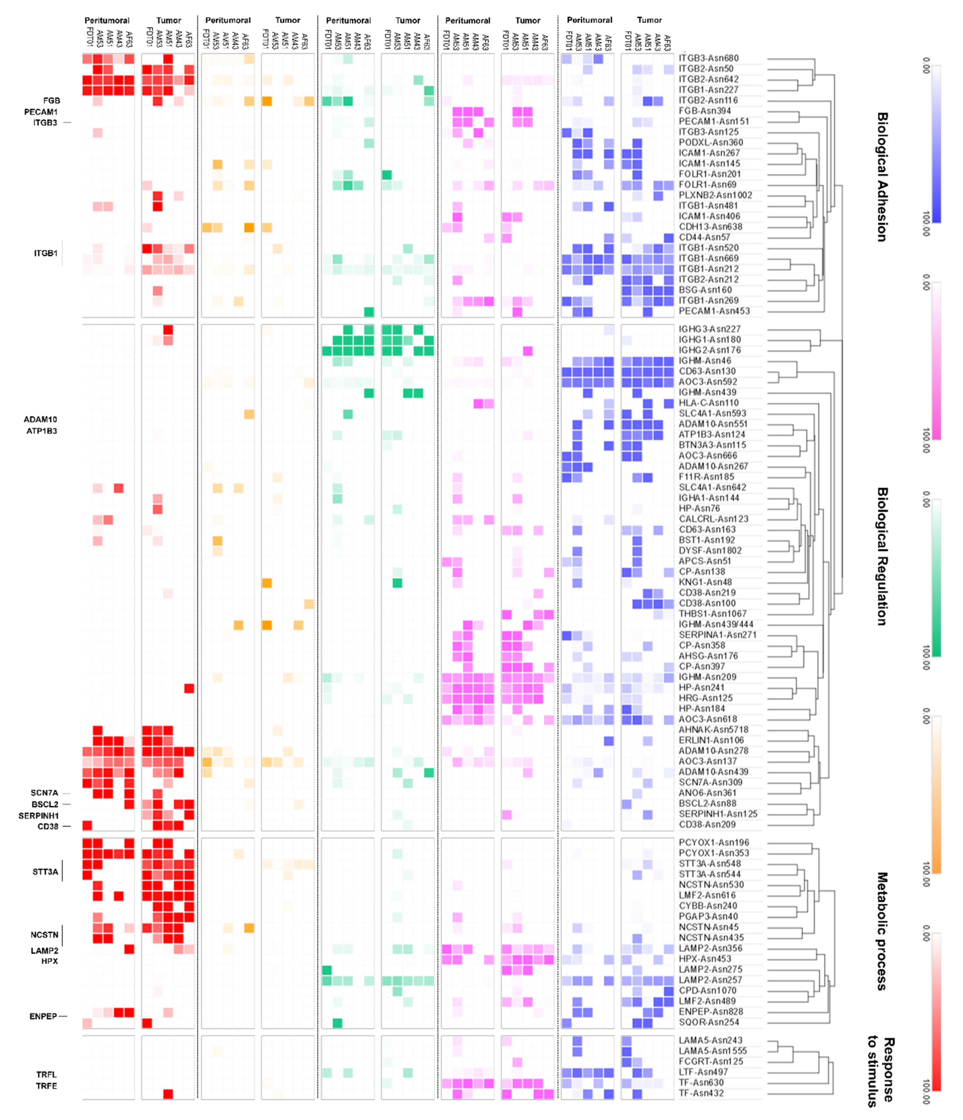 Cancers 15 01559 g004