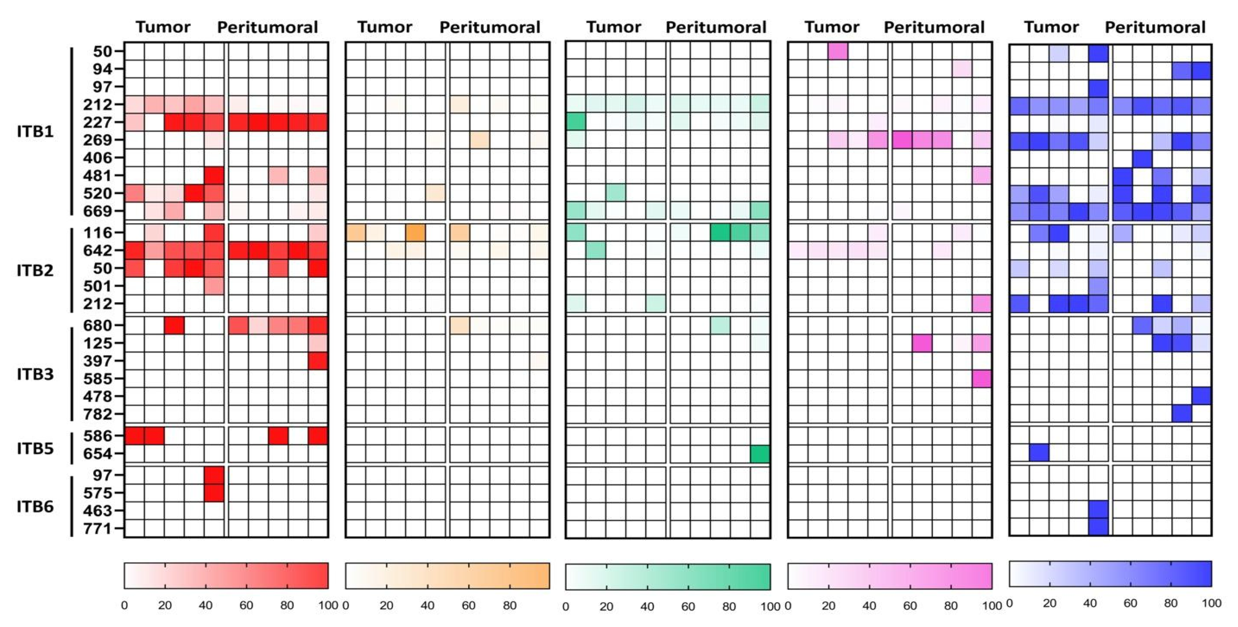 Cancers 15 01559 g005